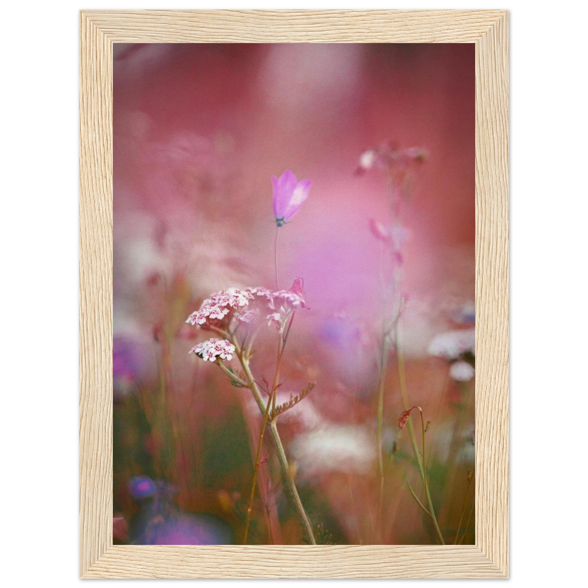 8da449c4-1a93-4252-9ea4-9074bd6a2bad