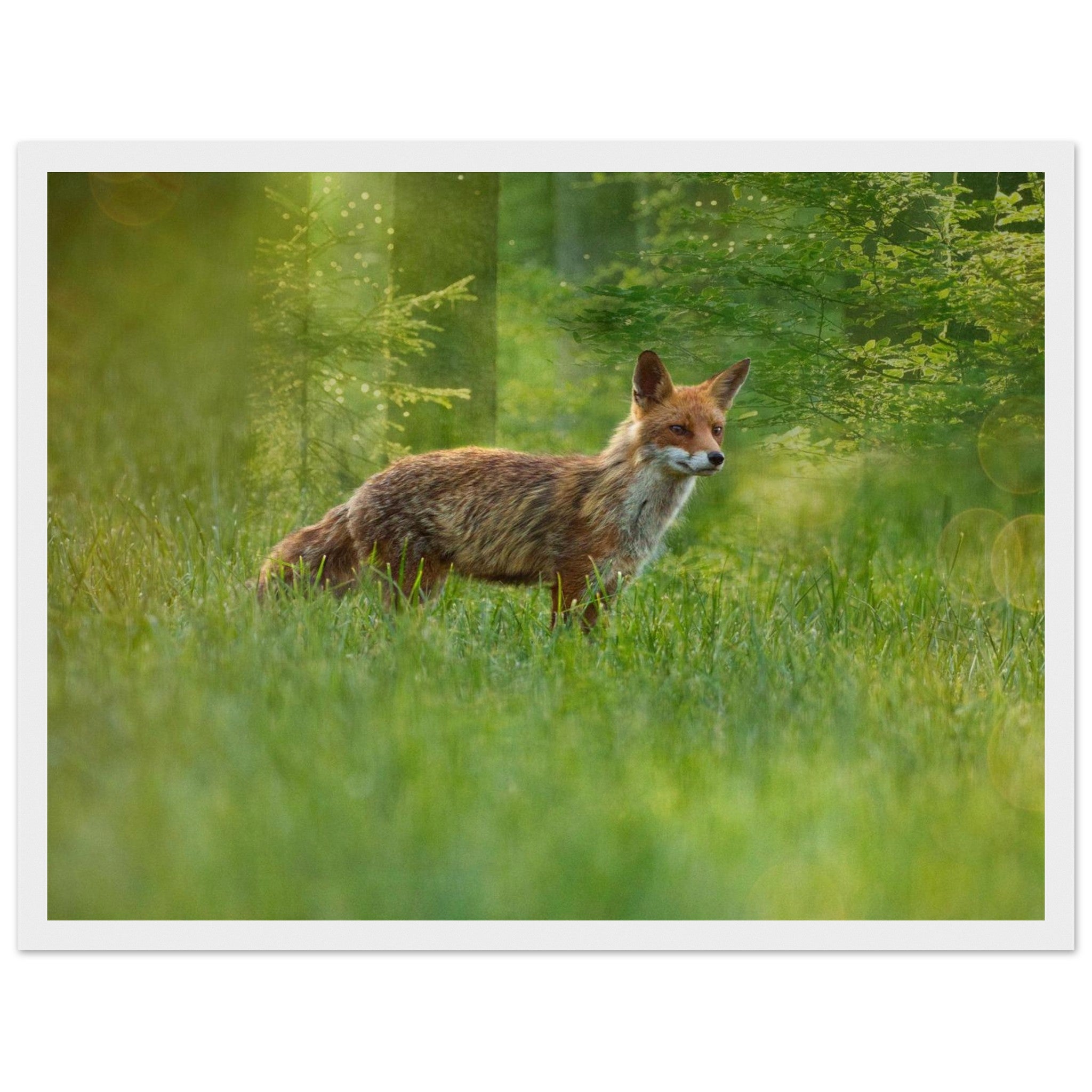 8dc6182b-44aa-4501-a690-9dbb9467ab2b