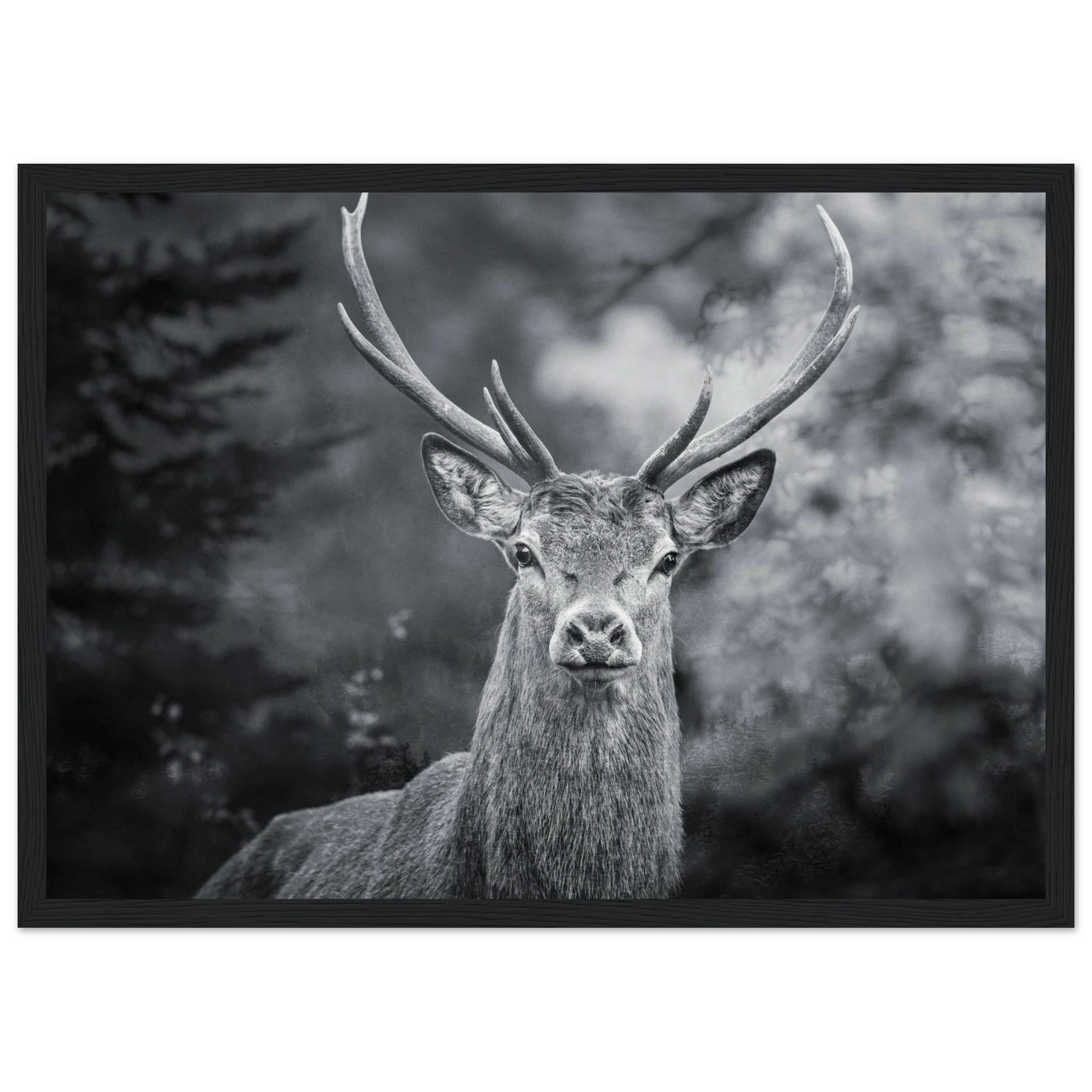 8f3f175a-b8ee-43e9-9679-fb90e0cacfa6