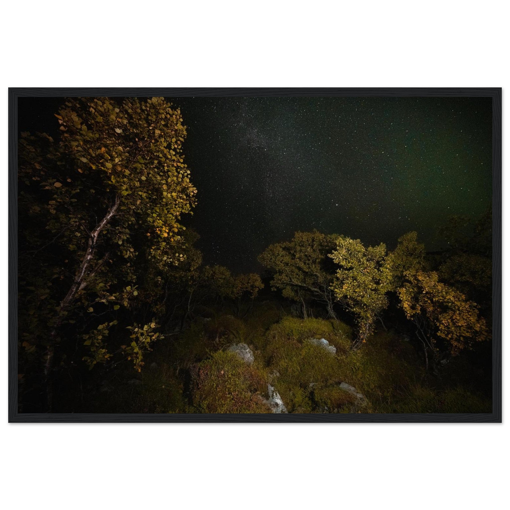 902a0bdb-e326-4804-b0c3-0fa306a4e9fc