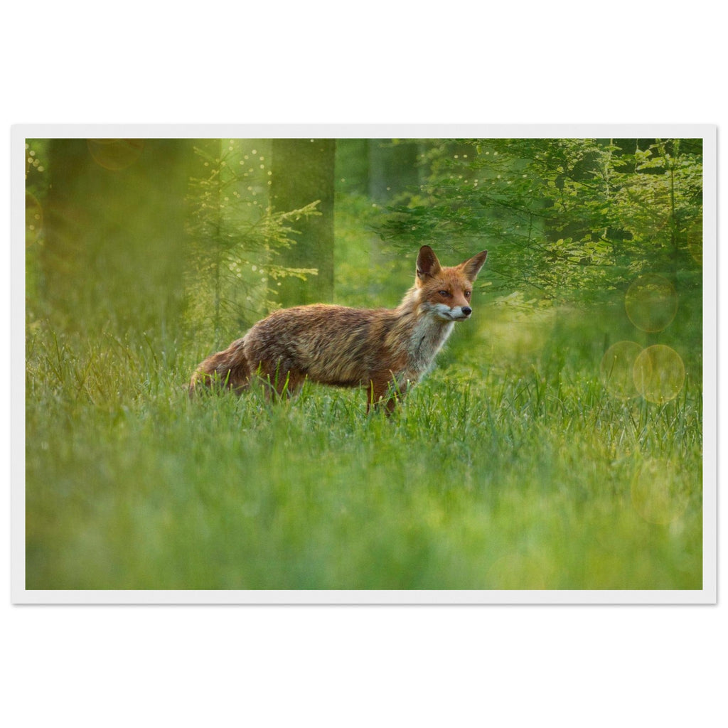 909f7527-8f31-47cb-a12f-83fed4f84afb