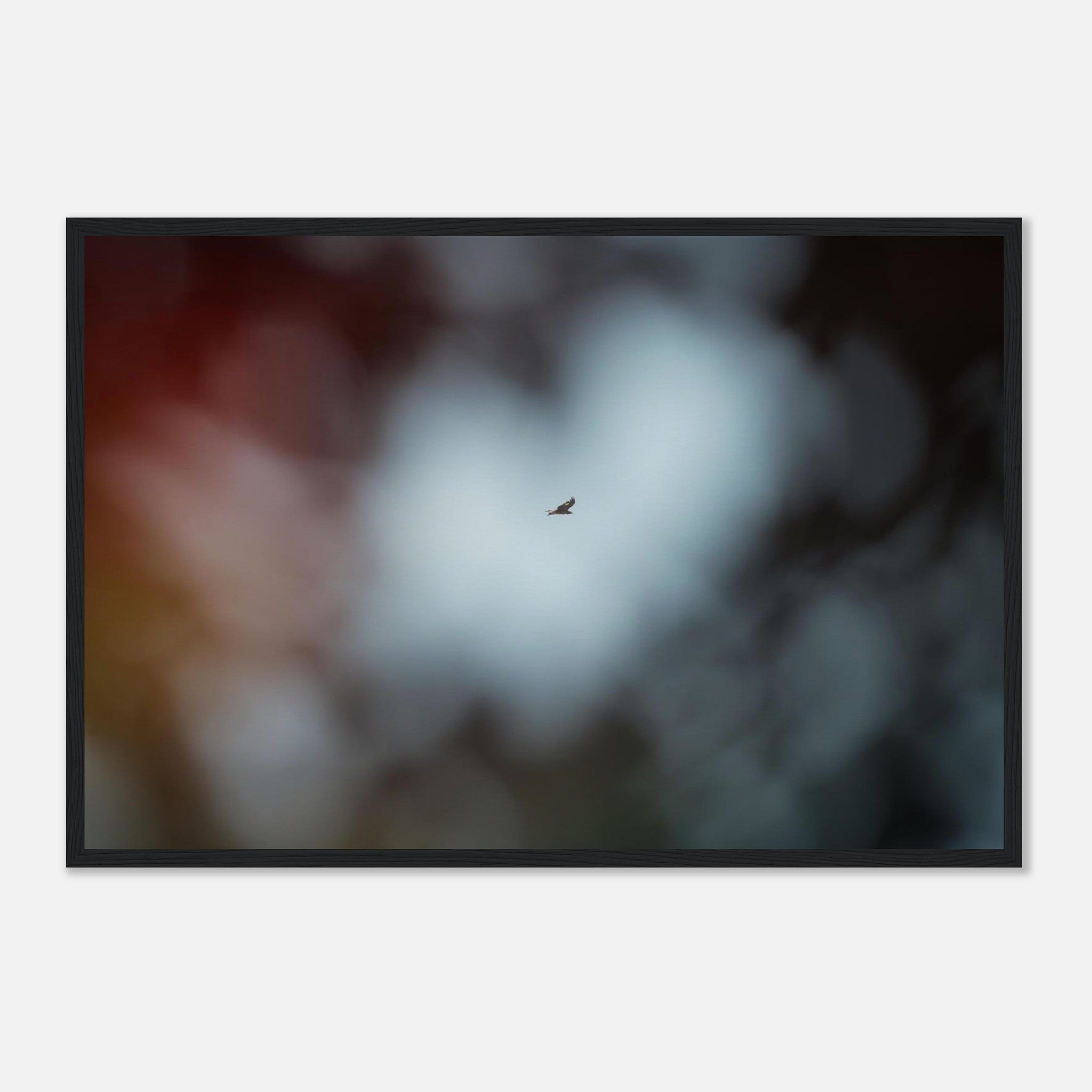 91419d13-c66b-472d-bf1a-fe6619c87260