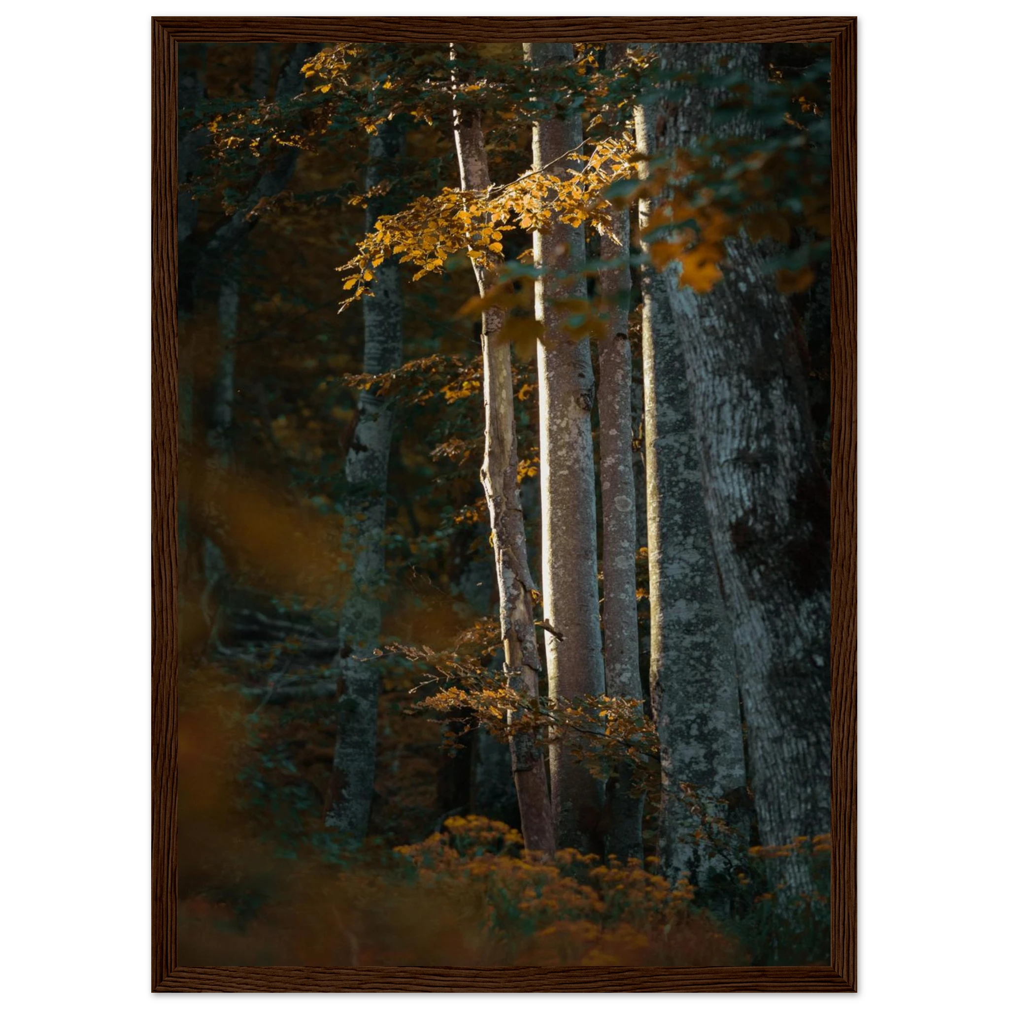 91f0d202-4e90-4451-9744-dbc84566bec6