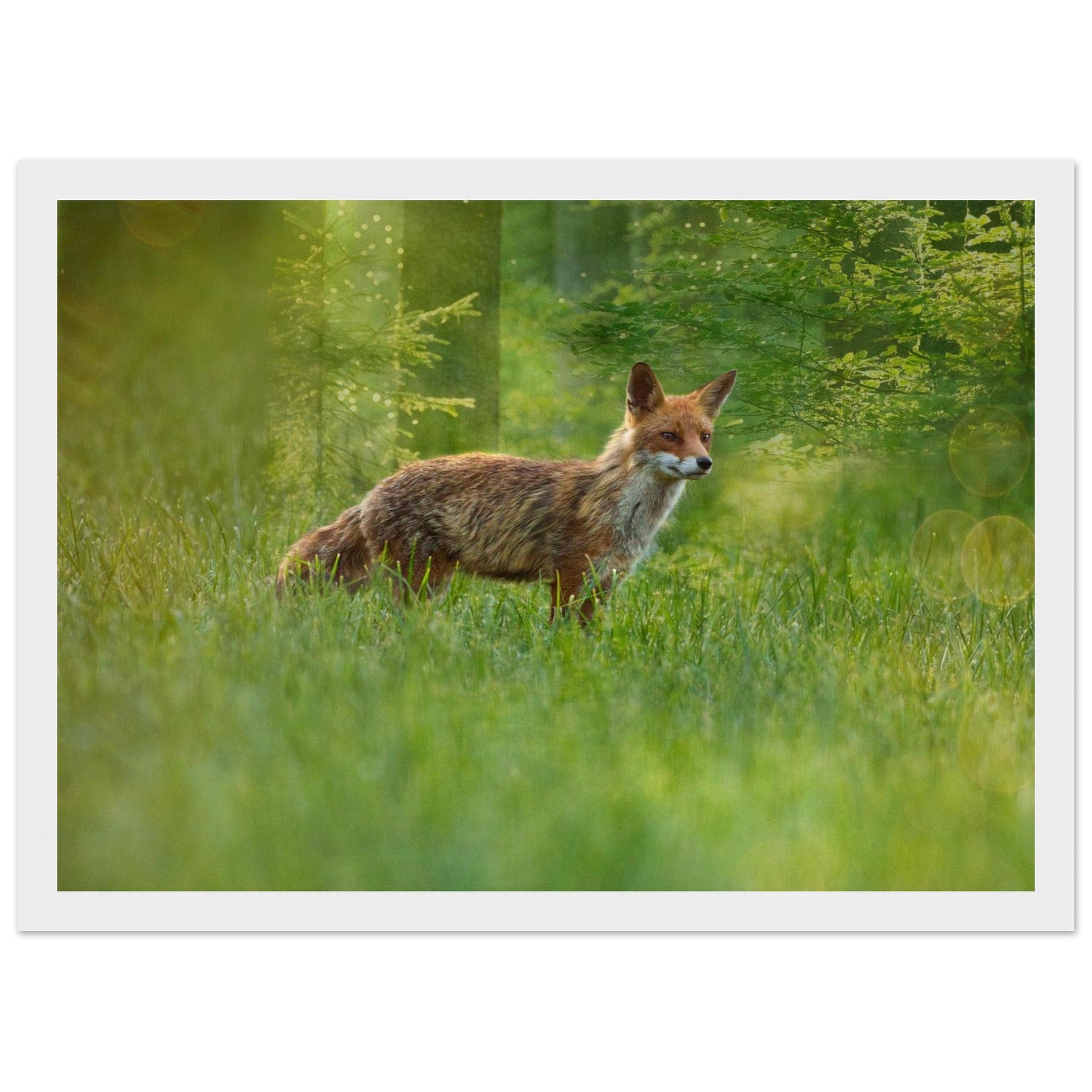 9342ffcc-e93e-4857-83d3-de5612e1c2c1