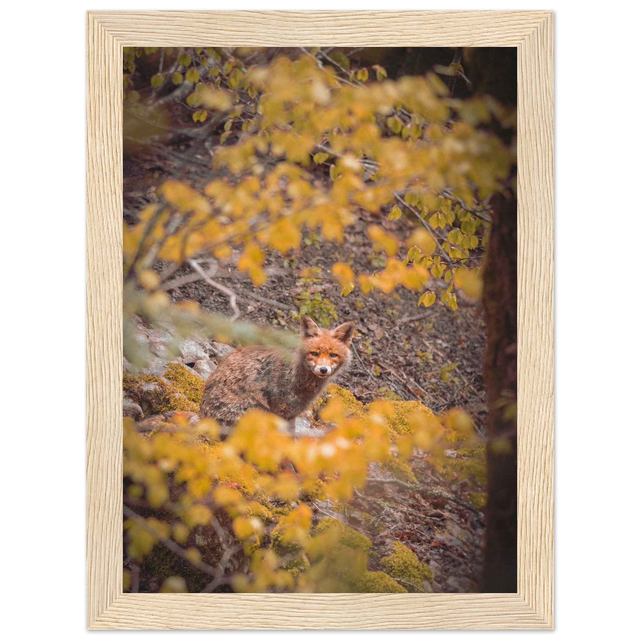 934bd9b7-c38d-4b93-a7de-dec359049885