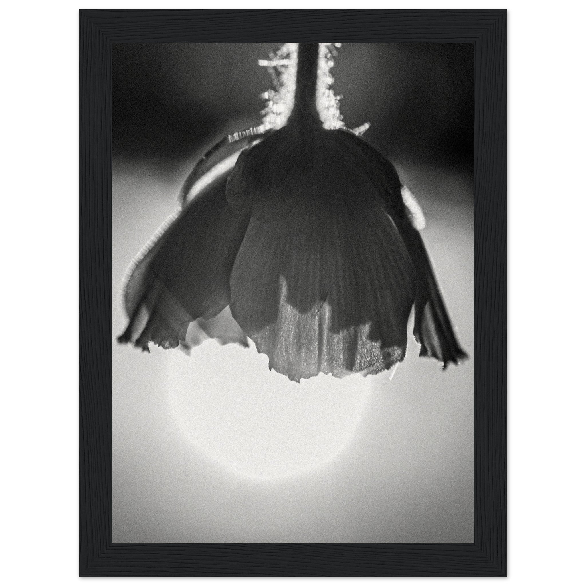 949f4aab-24bc-4915-ac6f-753c81f1f197