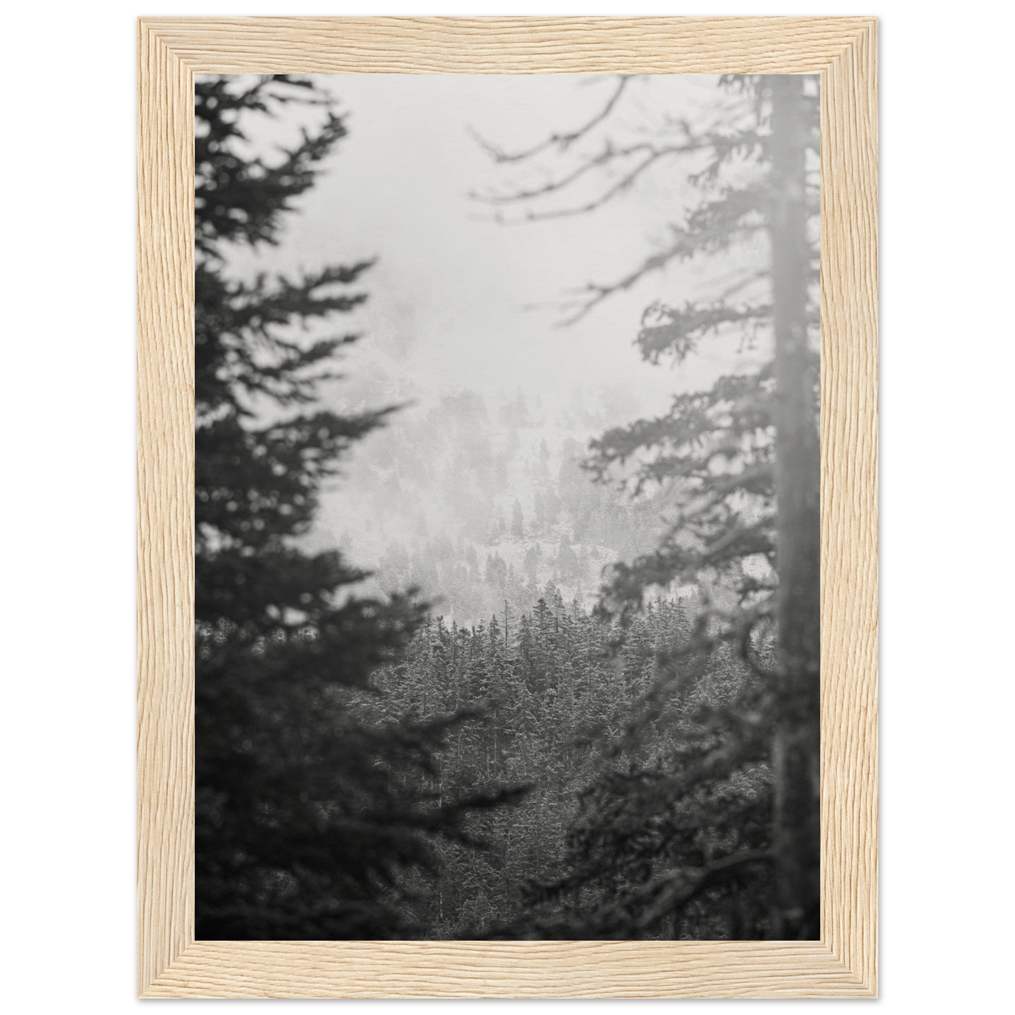 94f55f28-4915-480d-afc2-e7fb68fbf192