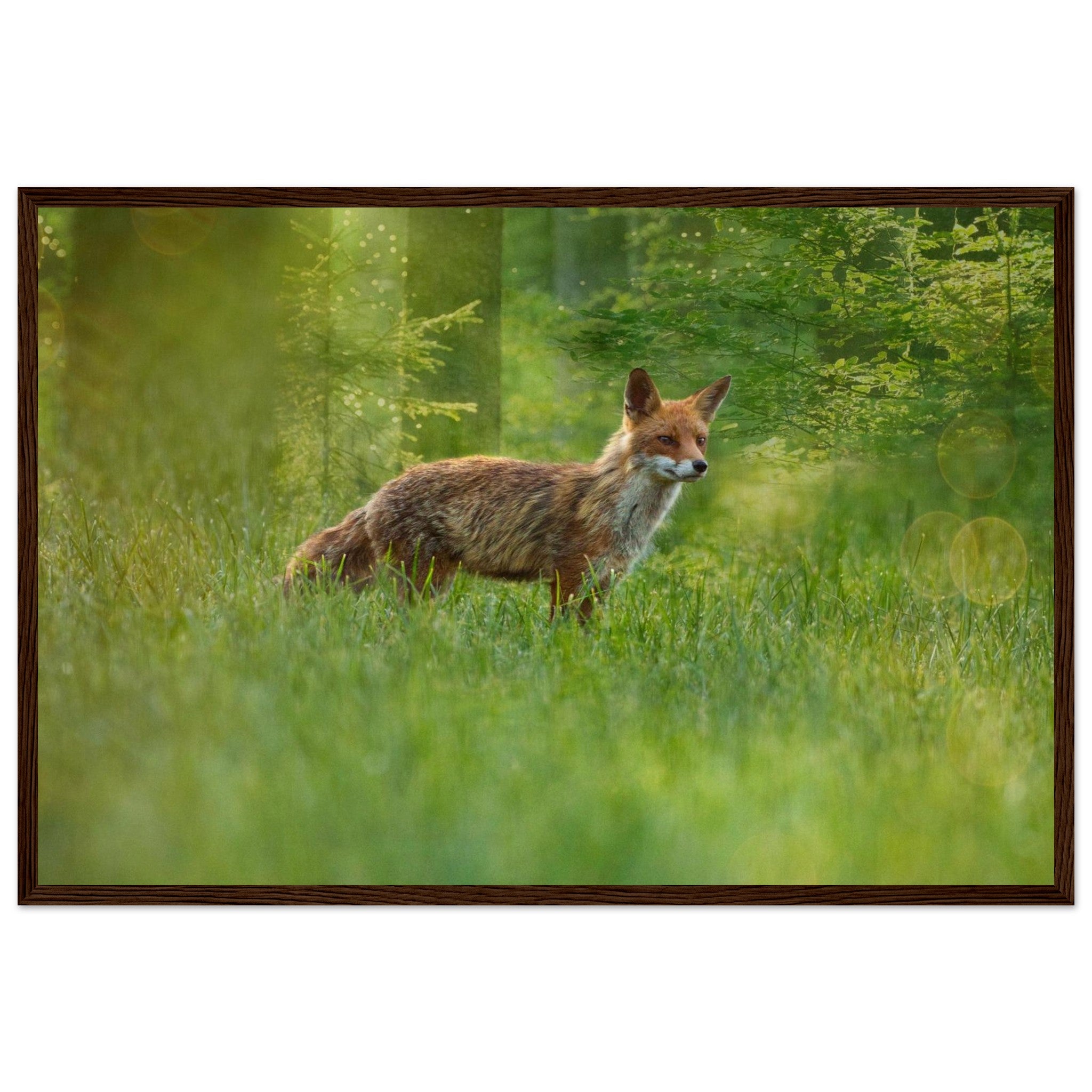 9690807d-eccd-4d39-96a3-1dc7303b80de