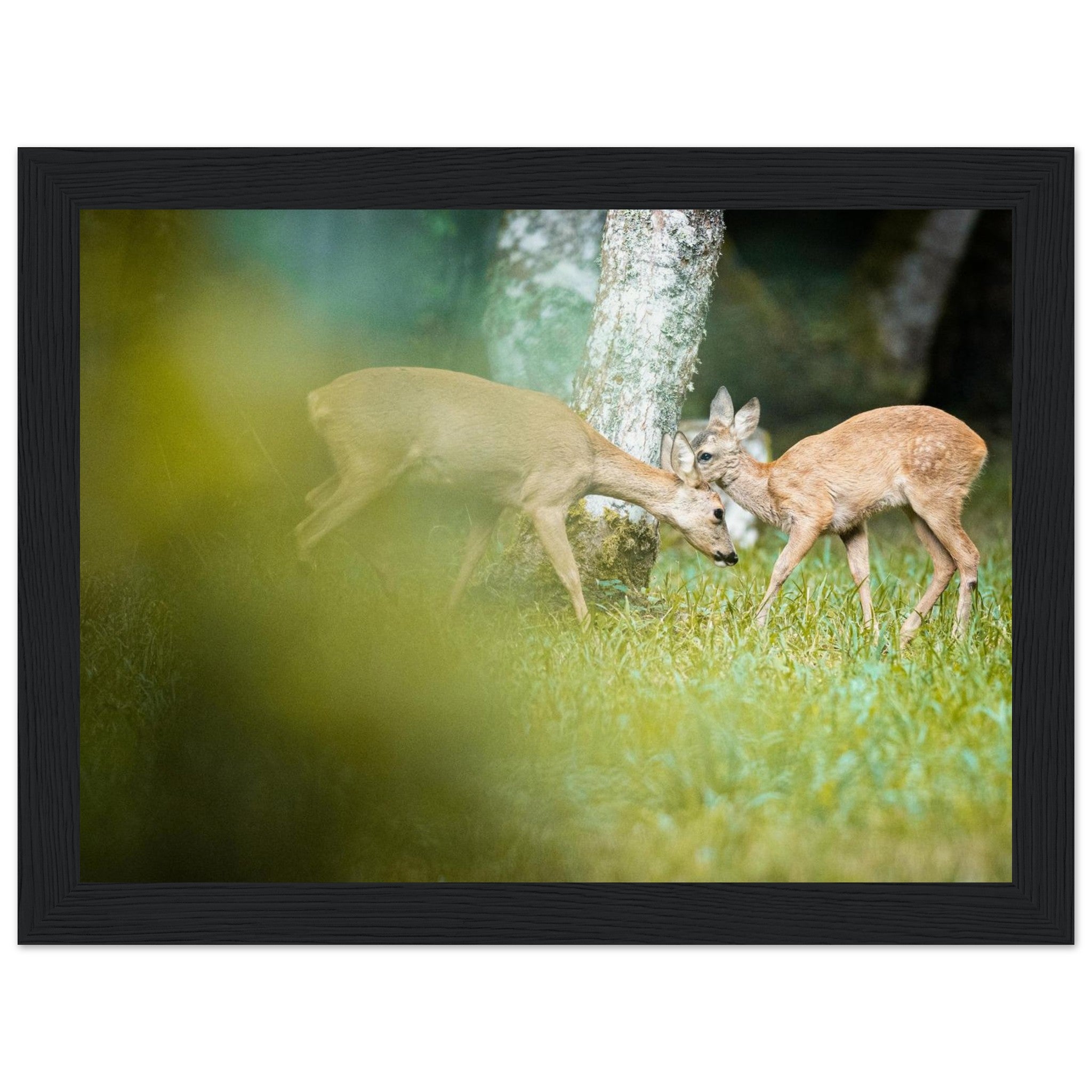 971f1f7c-7087-48cb-8db9-22e04ea65b31