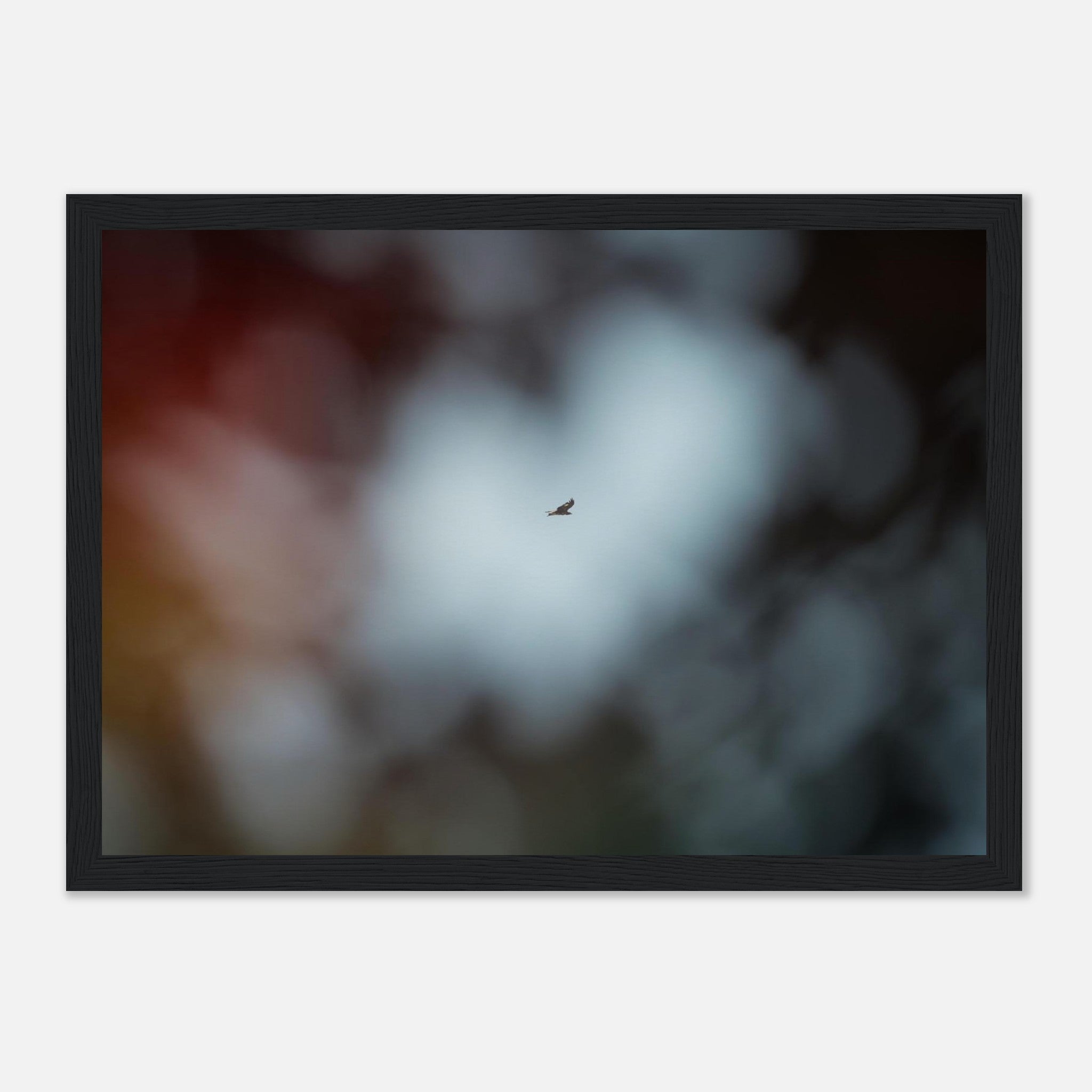 971fa547-6def-457e-a965-7bc12e40f7aa