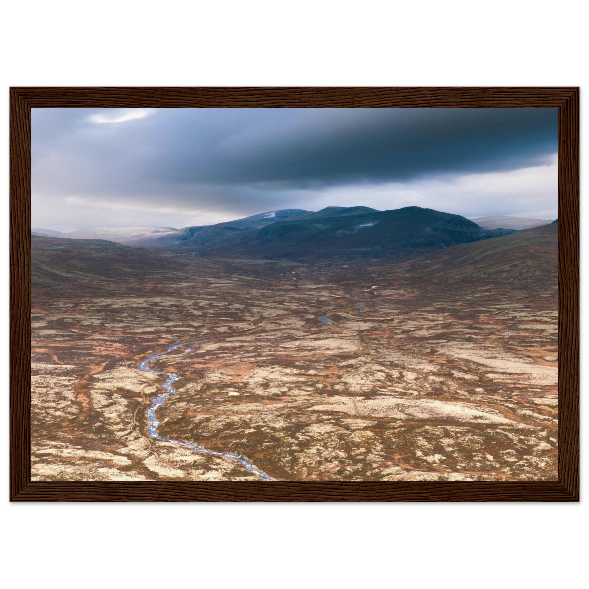 975703c5-4c66-47b0-a4f6-6ed9c3c3a77a