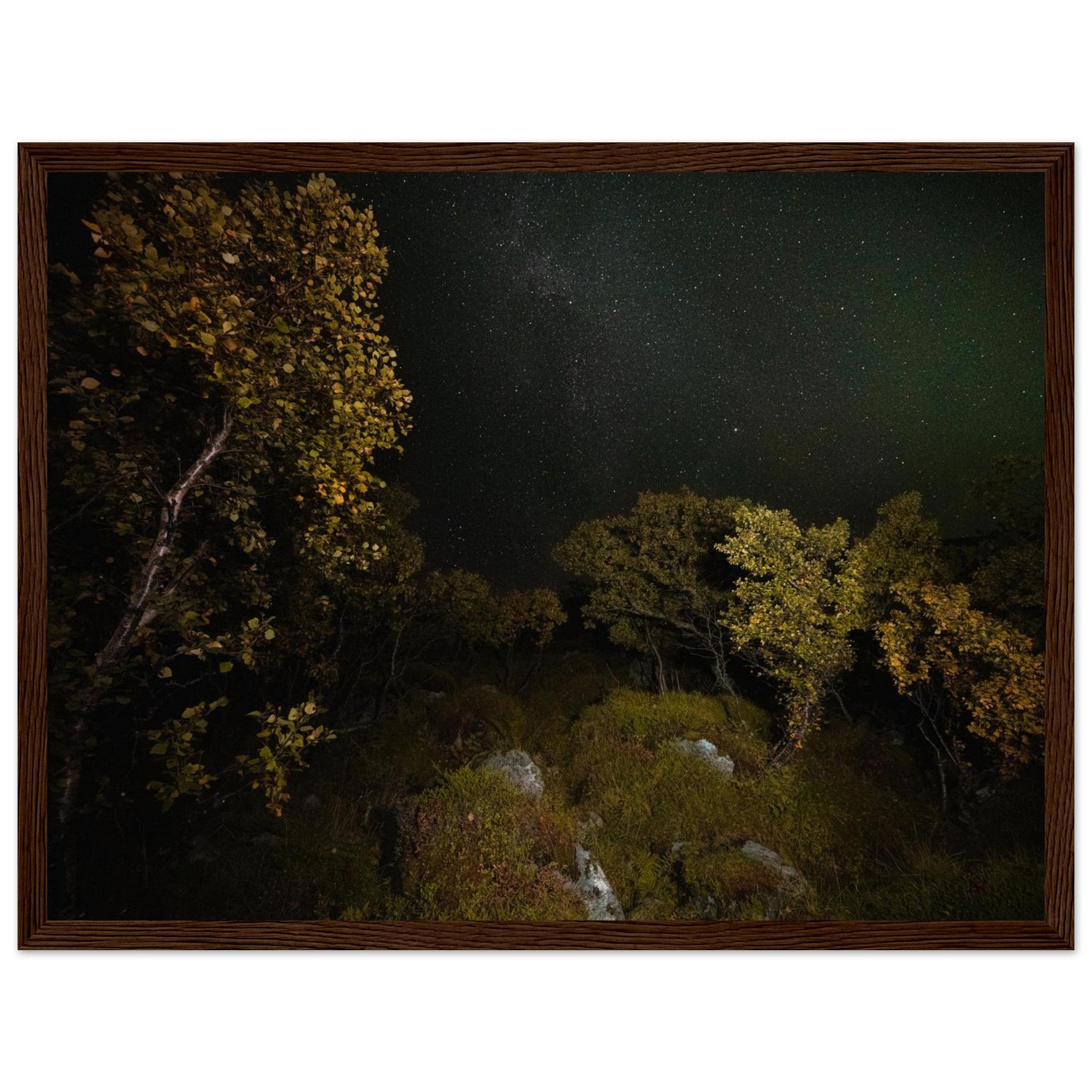 98a4279d-1904-4483-a4f7-2dd5ce3490d8