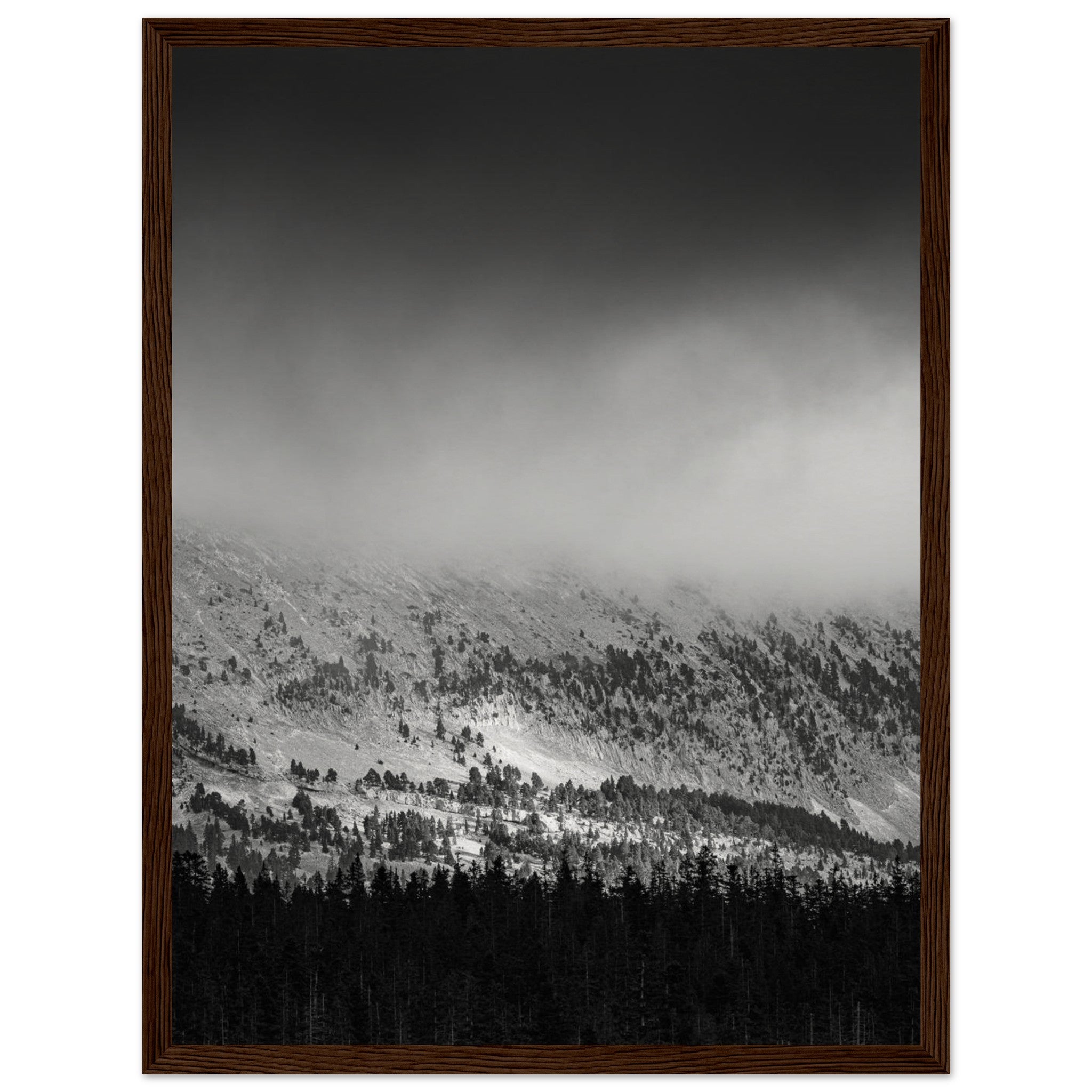 9aa06df1-91dc-4b9a-ada7-81fedd59452c