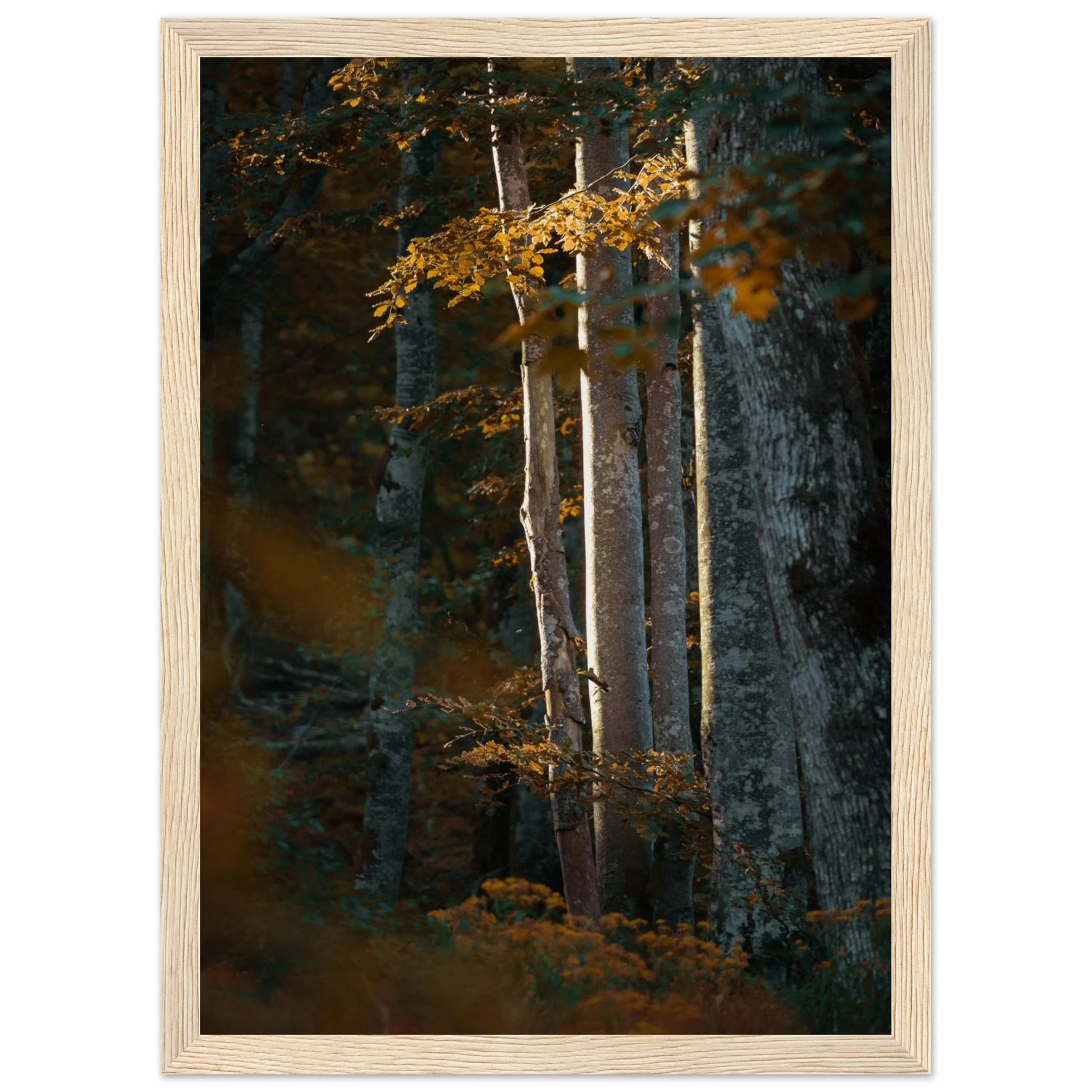 9b935303-0da8-4b4c-a0e1-64bc061ef64a