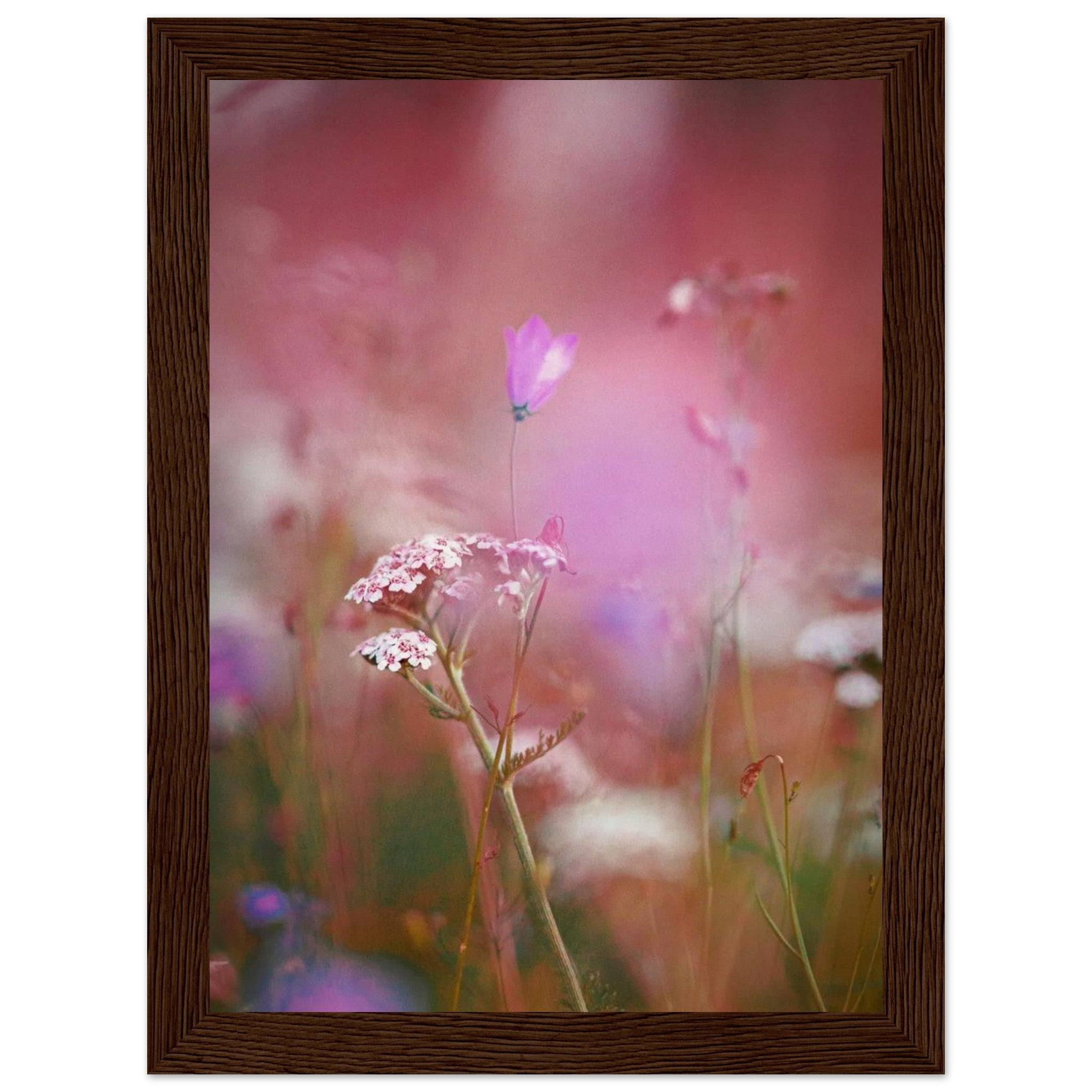 9c30b21c-be65-49c9-9c9e-7f31b772e6ba