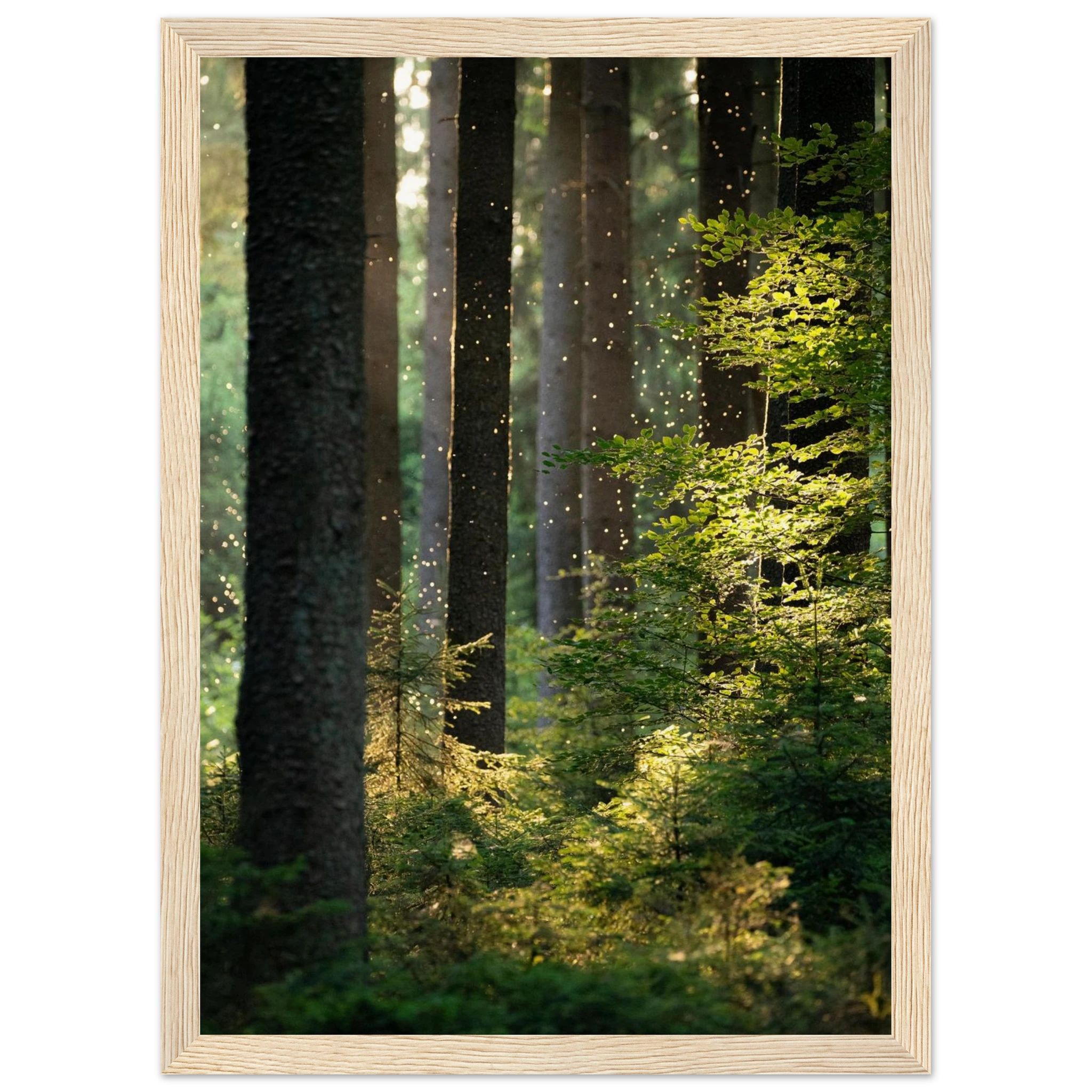 9c38ccb7-71cf-4143-8c54-b9ac0c95b948