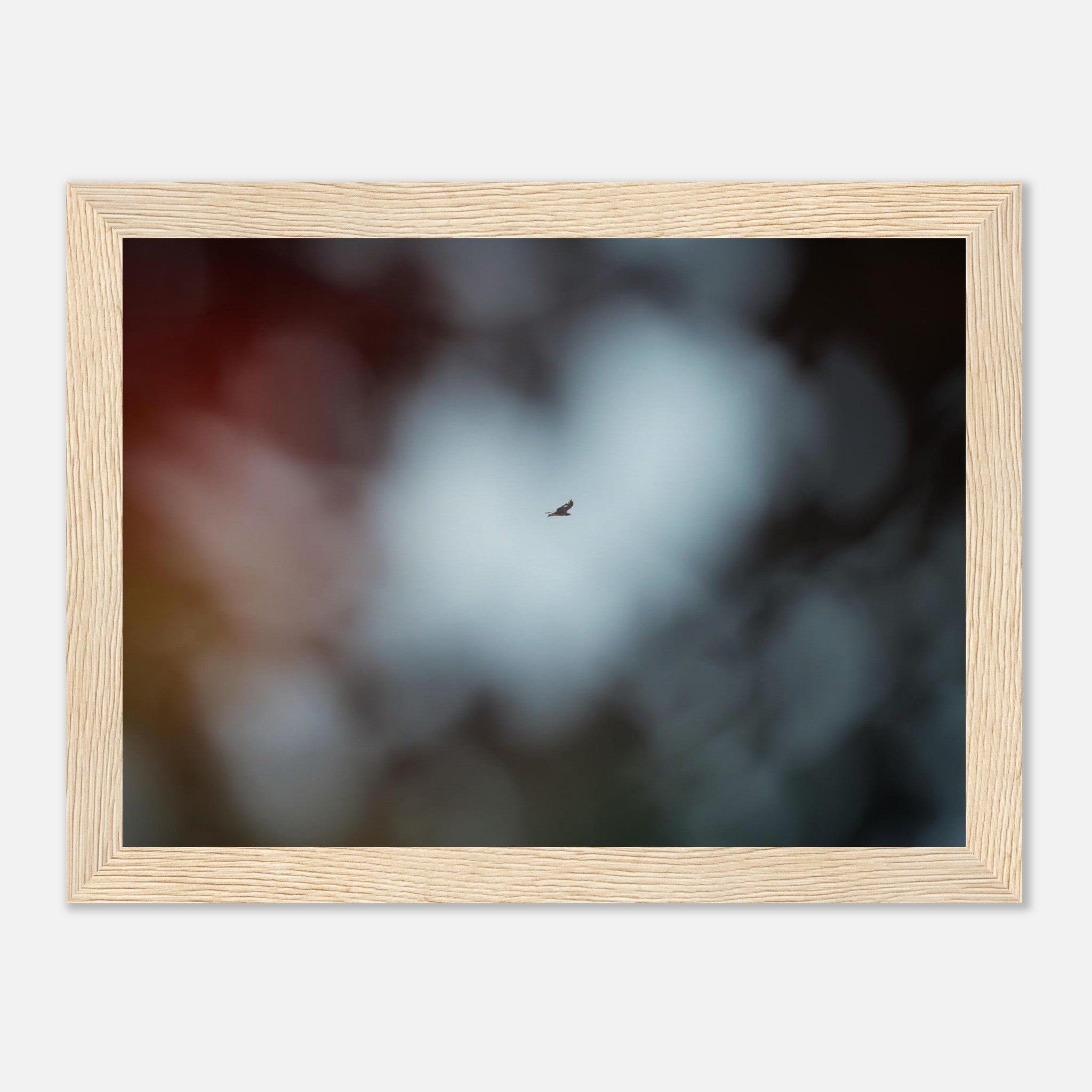 9d61cdcb-7772-48bf-a66b-29aeff608d8a