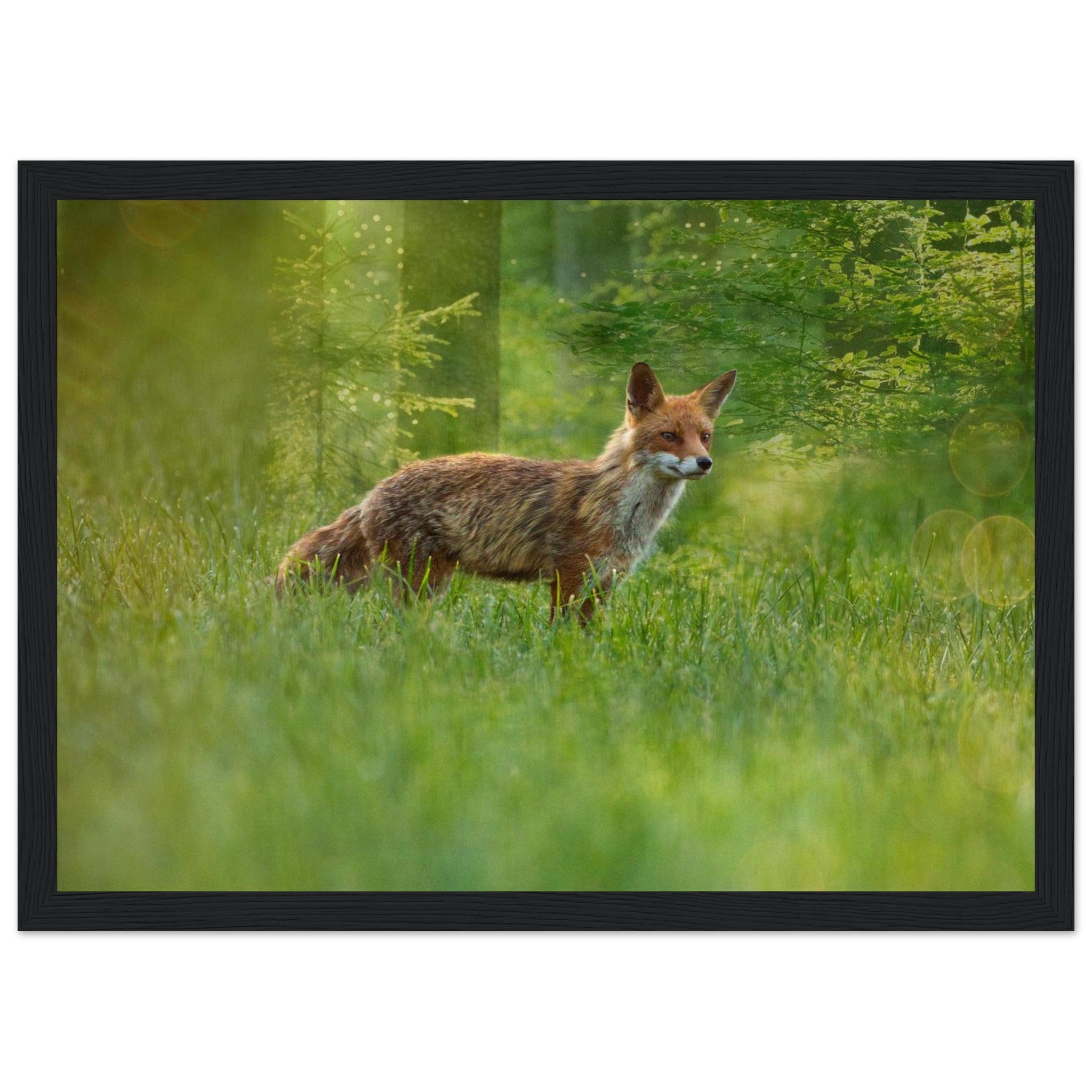 9d65014e-ea5c-410c-8c72-d6e4992d15c6