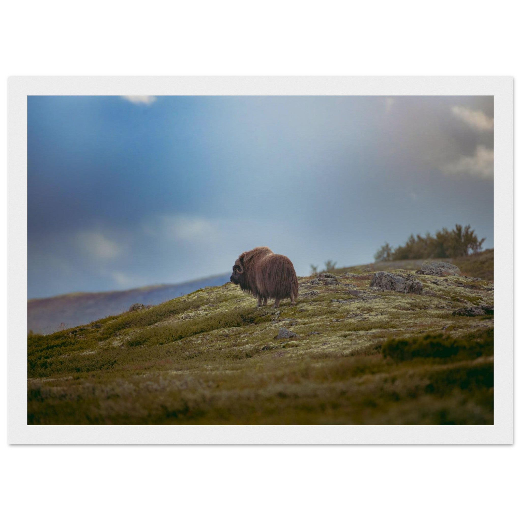 9f087ad0-6307-4d14-829a-a1209defe590