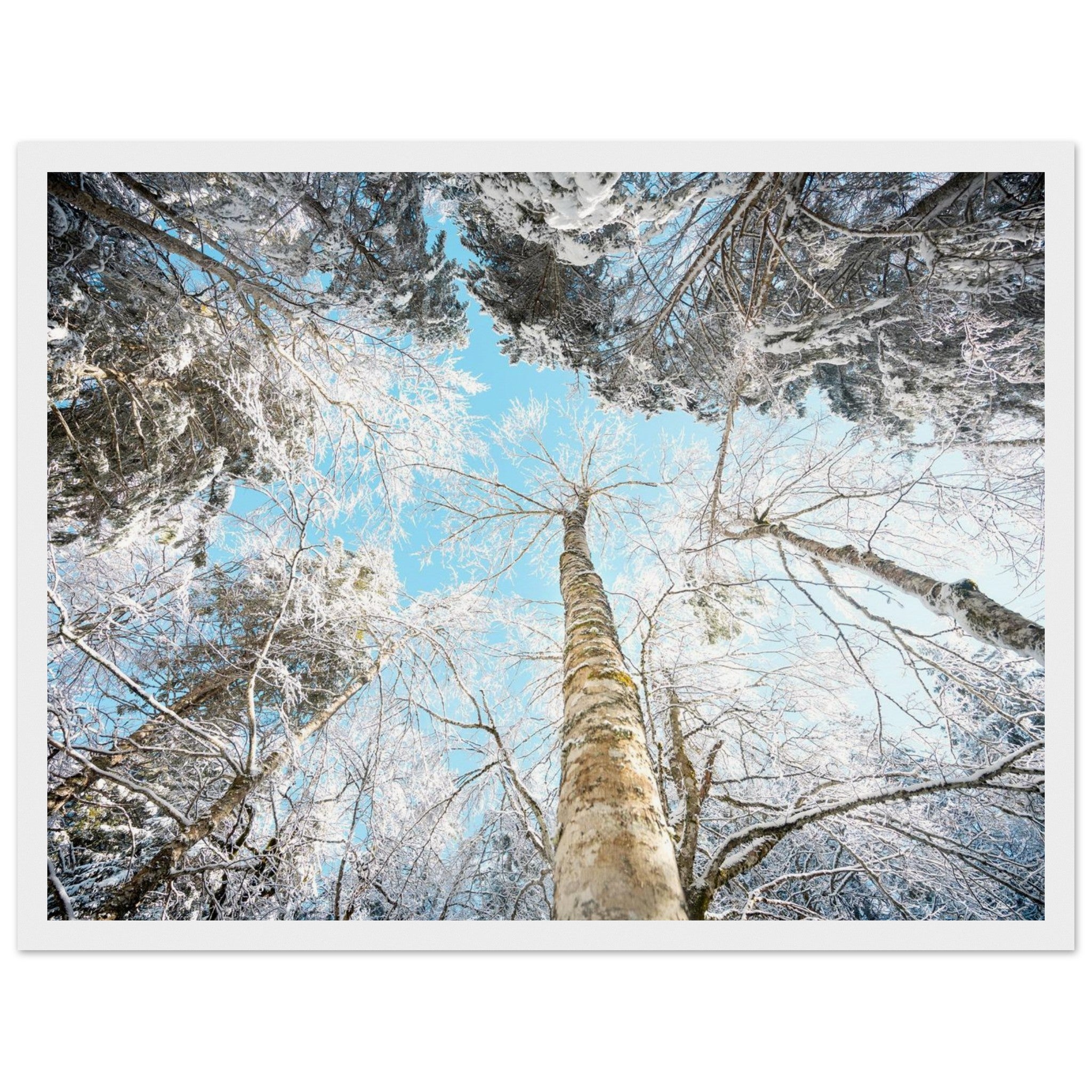 9f758a92-6afb-4c29-ac69-e3962ab7fb94