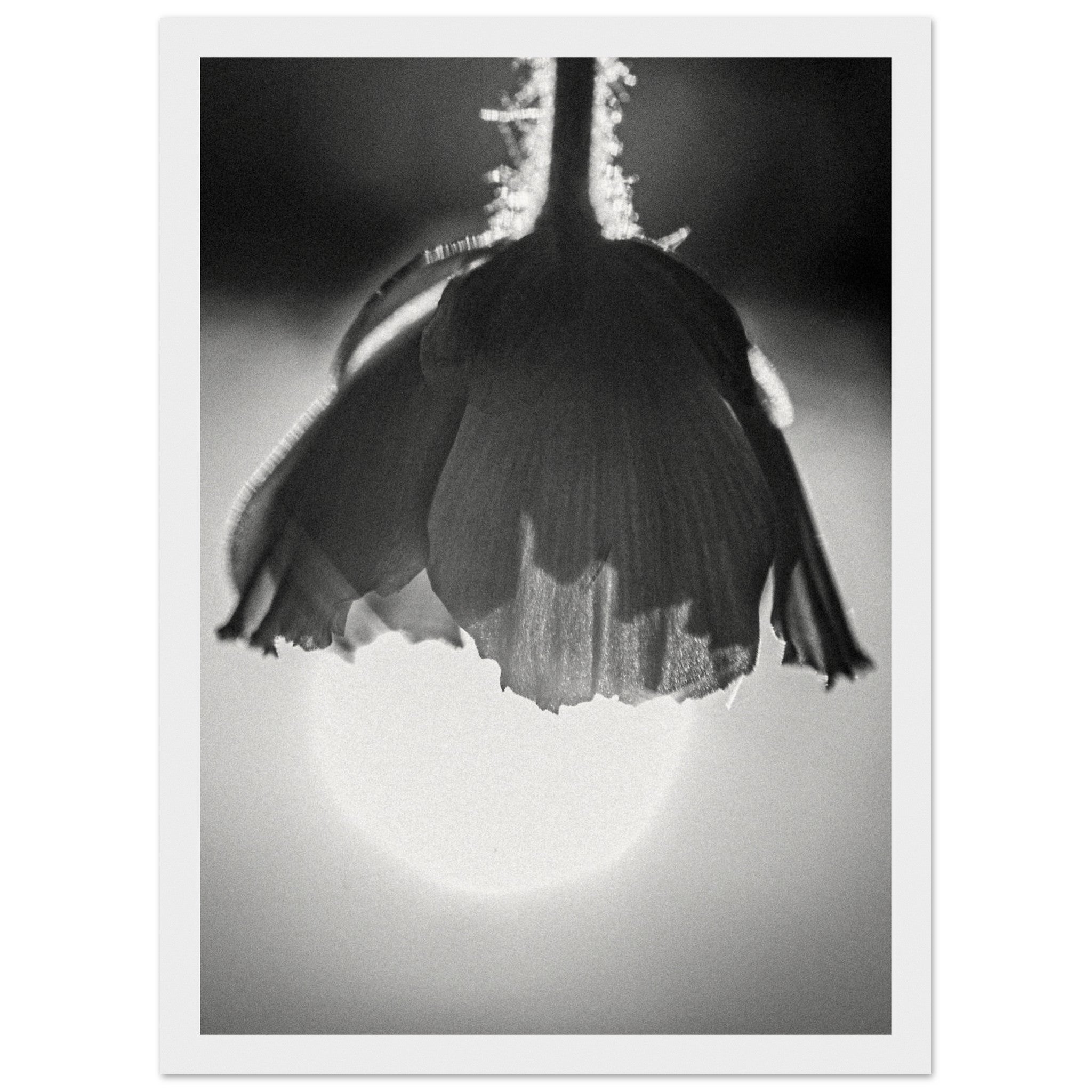 9fb1050d-a8da-4fcd-9c9a-47cb922239b4