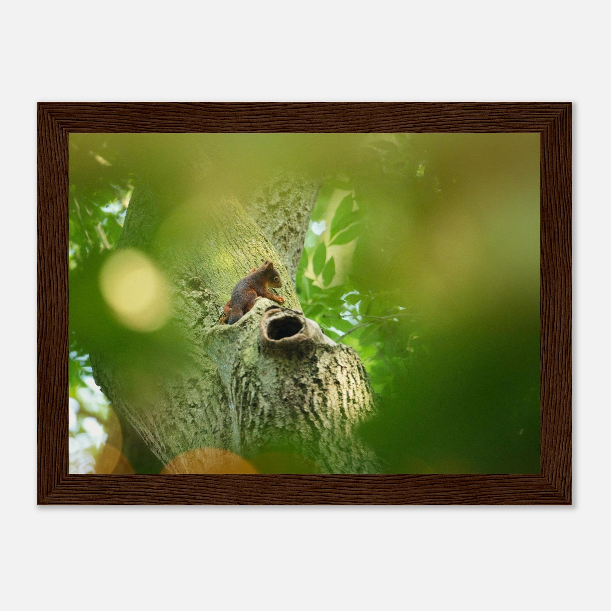 9fc13d20-913e-4a0a-a75c-007bfbe1478a