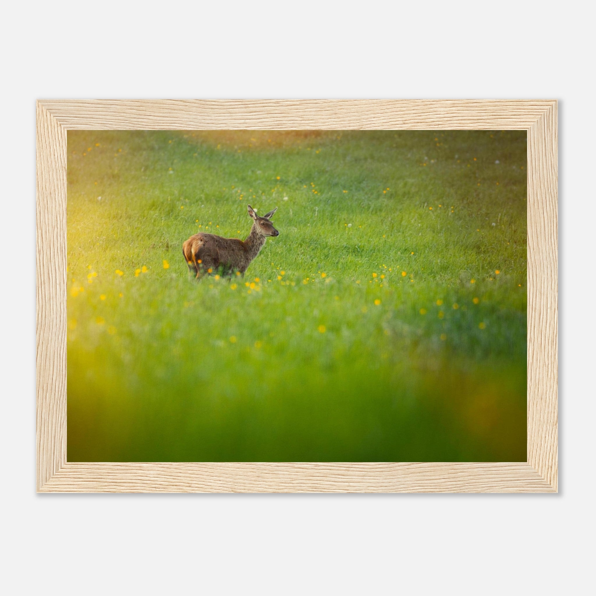 a01706b3-2bb2-4644-8e57-9f2f98036dee