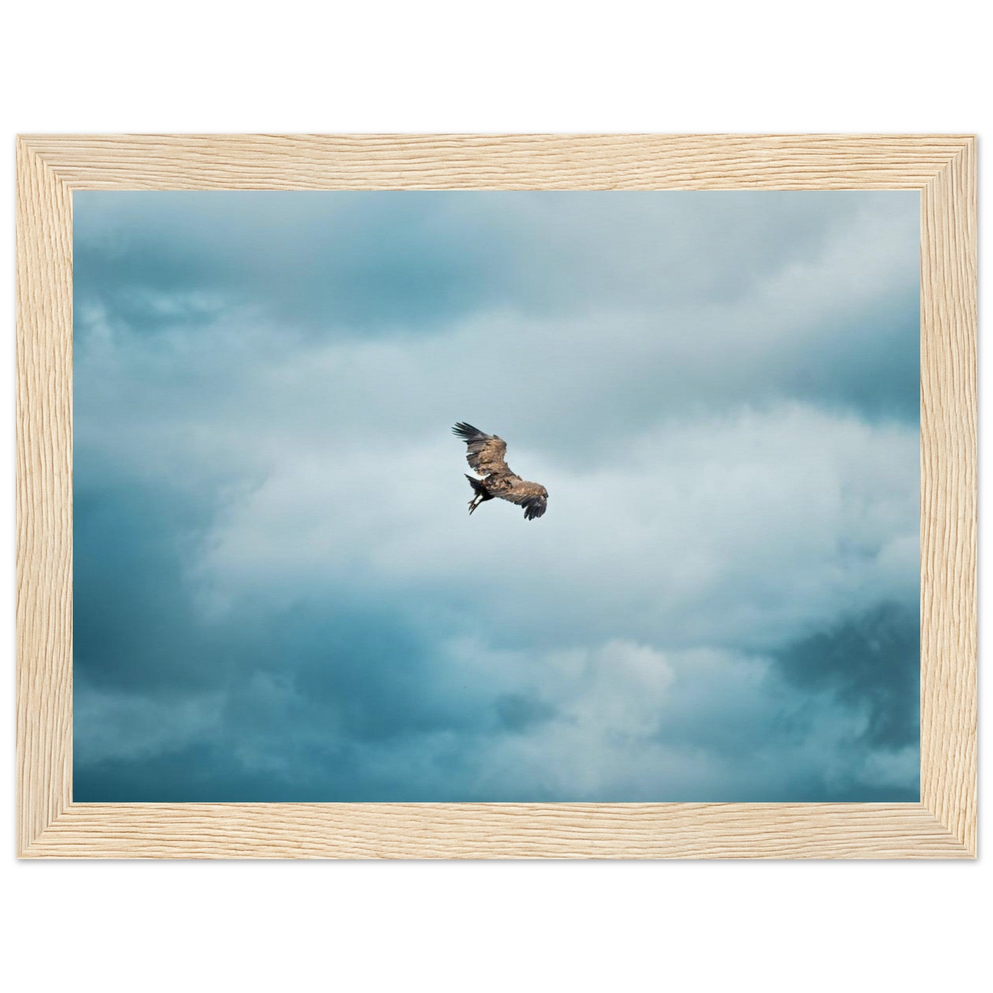 a1b5aabe-f08c-4e81-98f7-387159f65d41