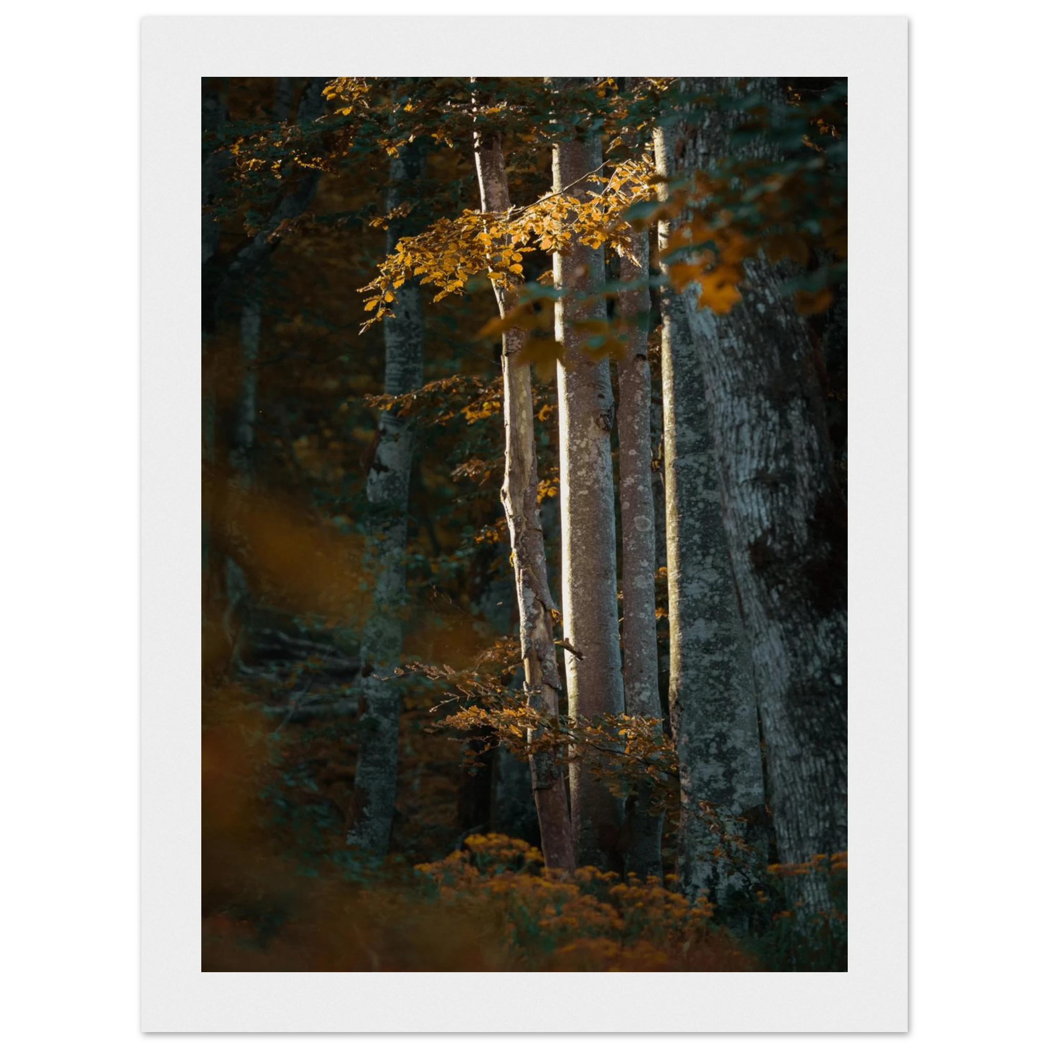 a274752f-e059-47a0-81ce-23844f275b1d