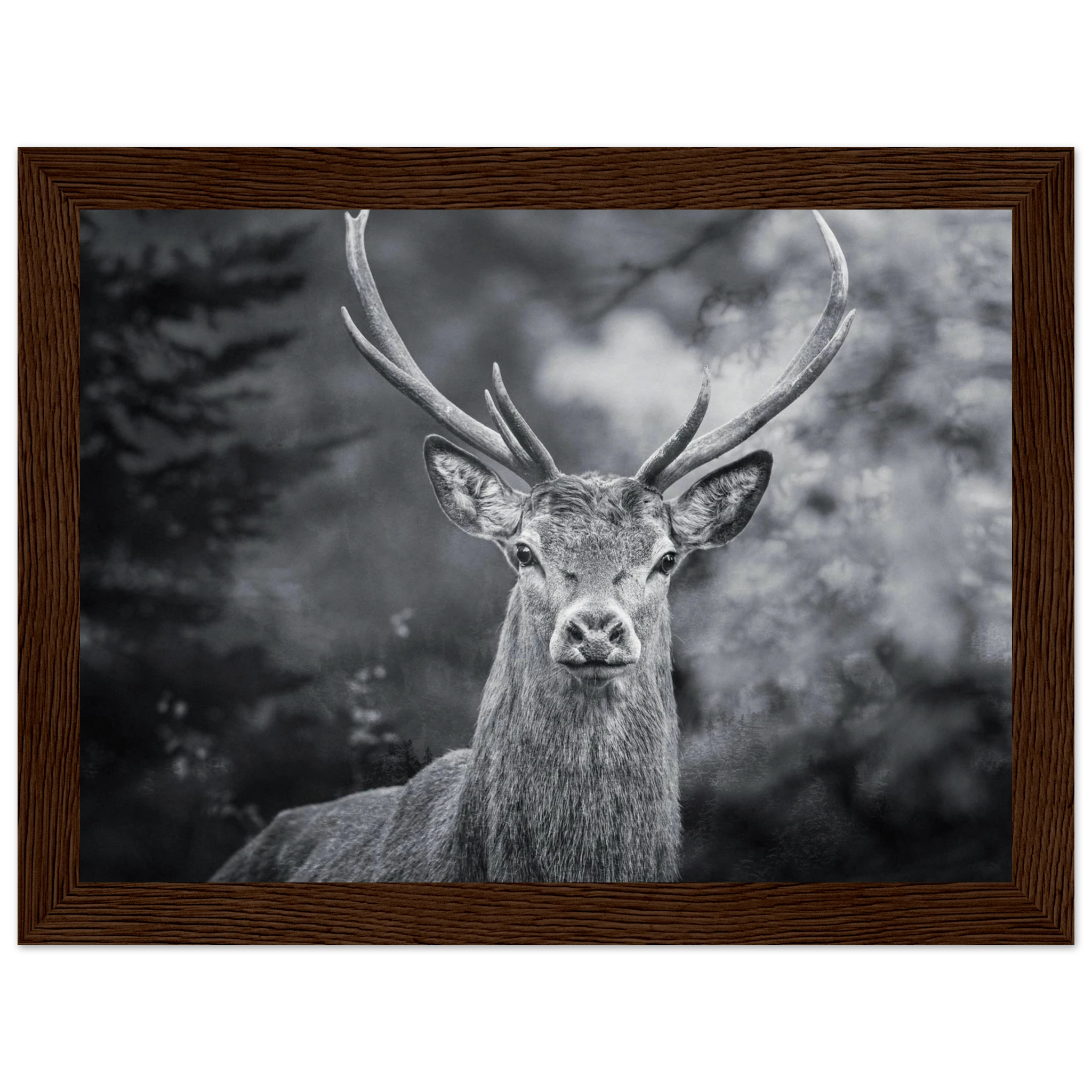 a27abe67-1c66-4630-b277-cf914e61952e