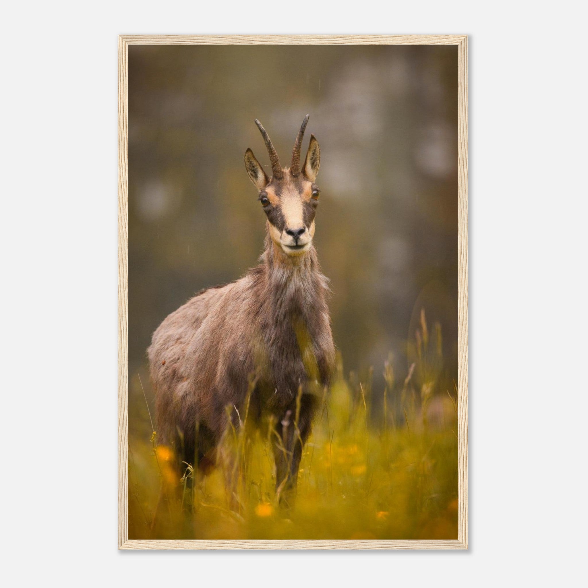 a4fac826-cda6-43b2-936b-f21ebde5d350