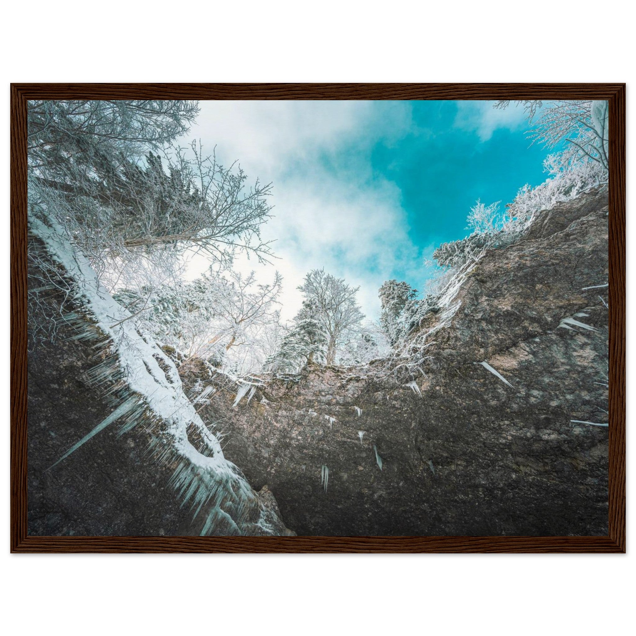 a55c6196-5917-4993-8b24-7eda28548066