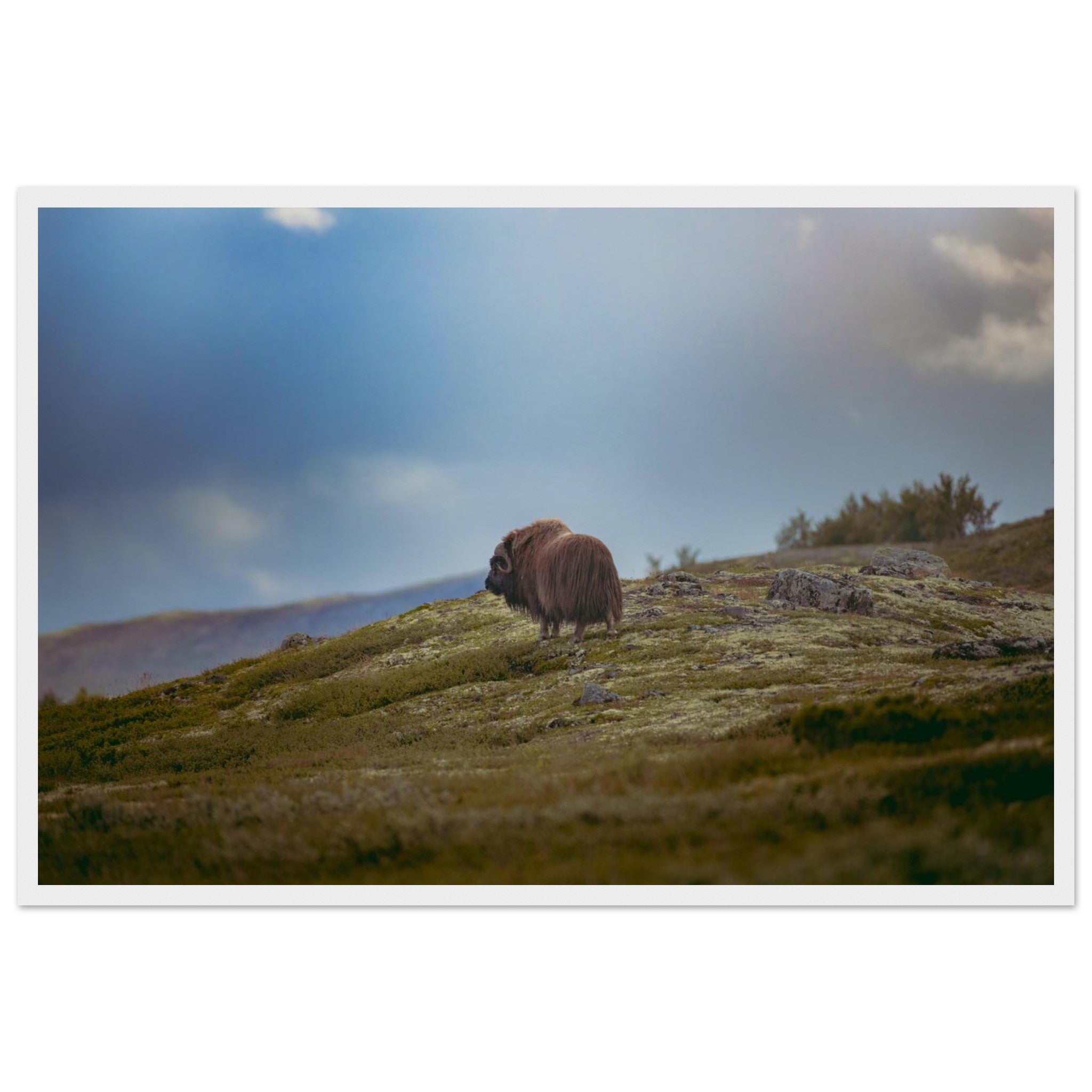 a5d1bac3-515a-45ae-9ff4-7a028550fc0d