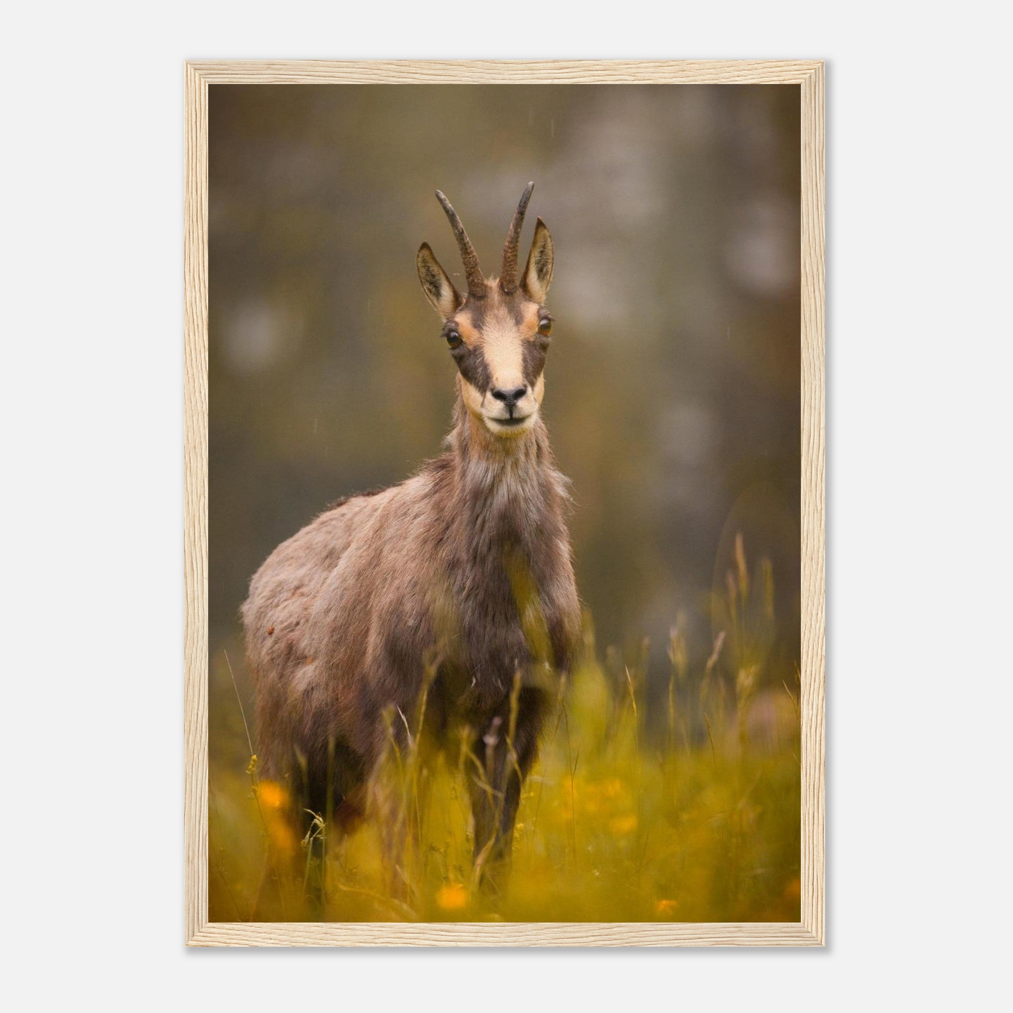 a757feb4-5de8-4912-bf72-1d9a6dcec3f5