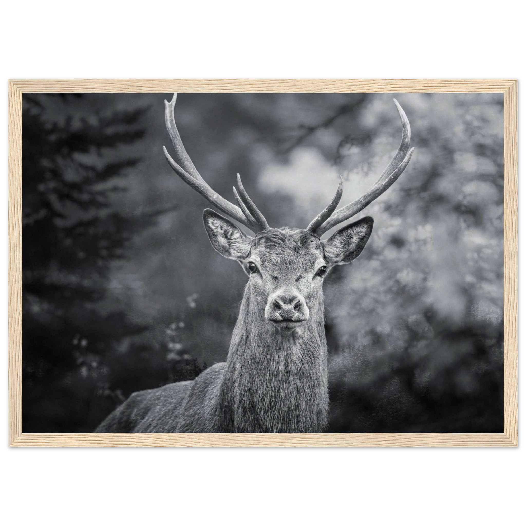 a82a02cf-954c-4402-be17-89c0507a2da8