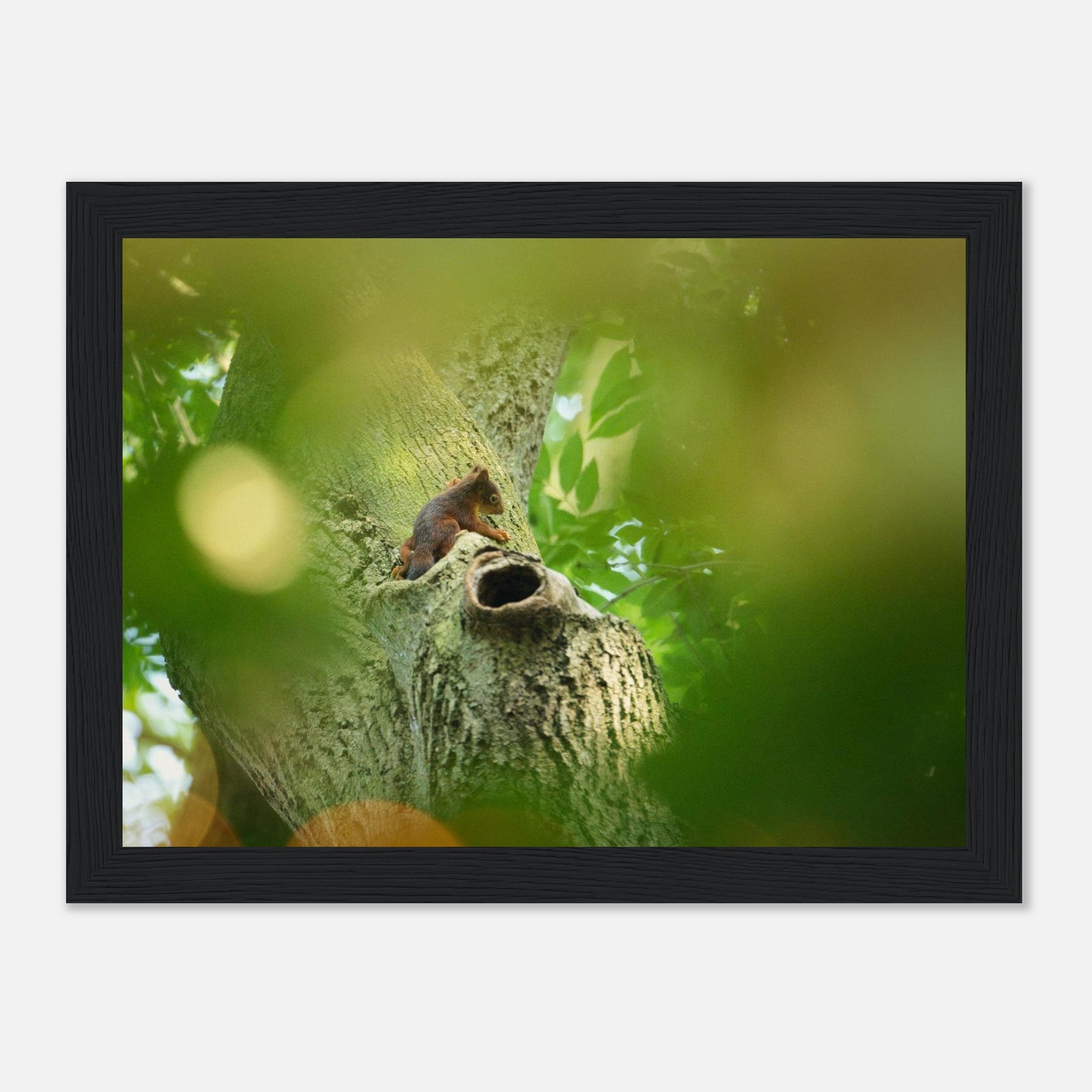 a8a8a3e6-532b-4151-9b4c-7eb92062ea64