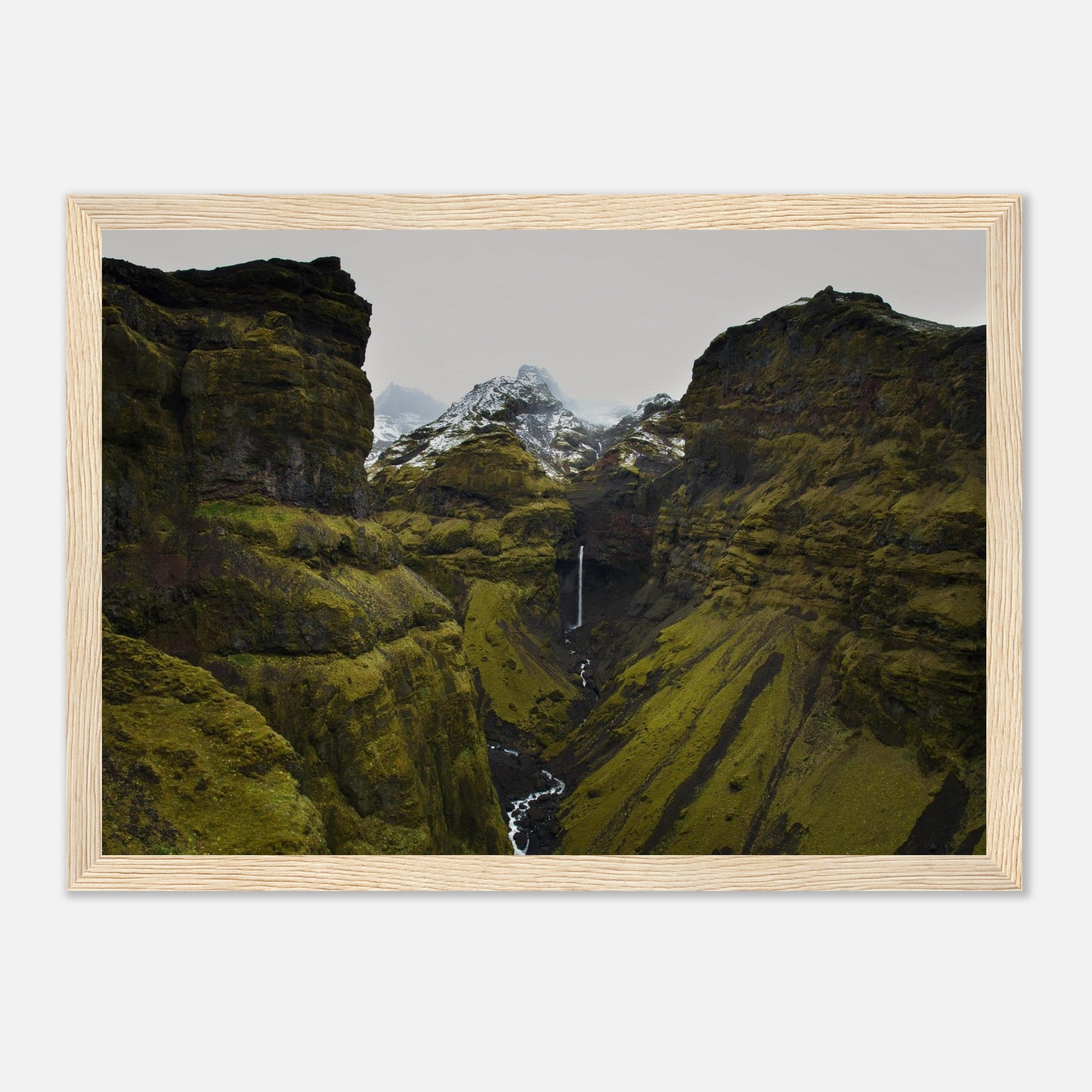 a9c9e008-add3-4ea0-b3b4-dbe1c236a3f2