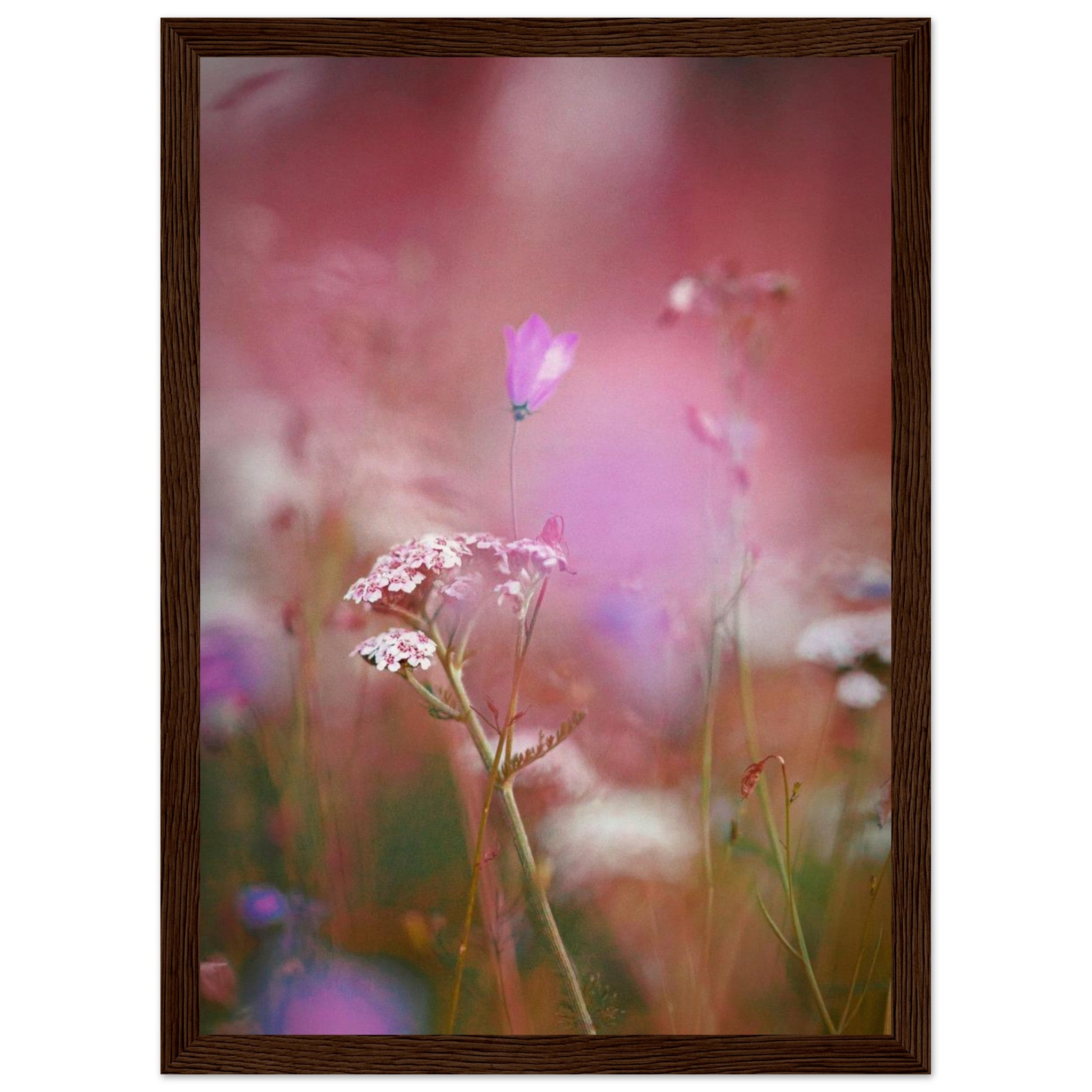 aab6dc26-397c-4e13-82d1-d2c11a2bfee0