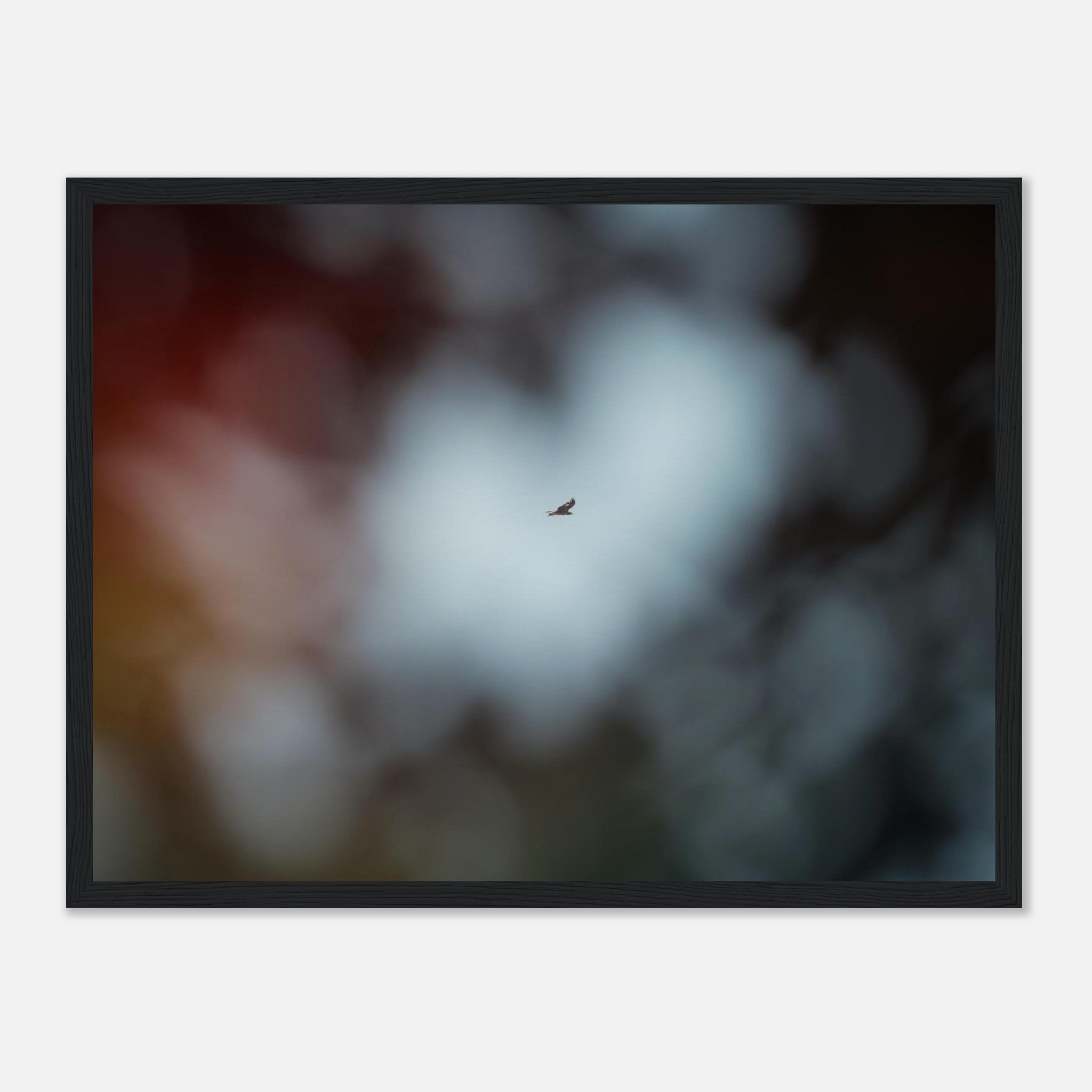 aaecbd84-af7e-4401-99ce-103541279fcc