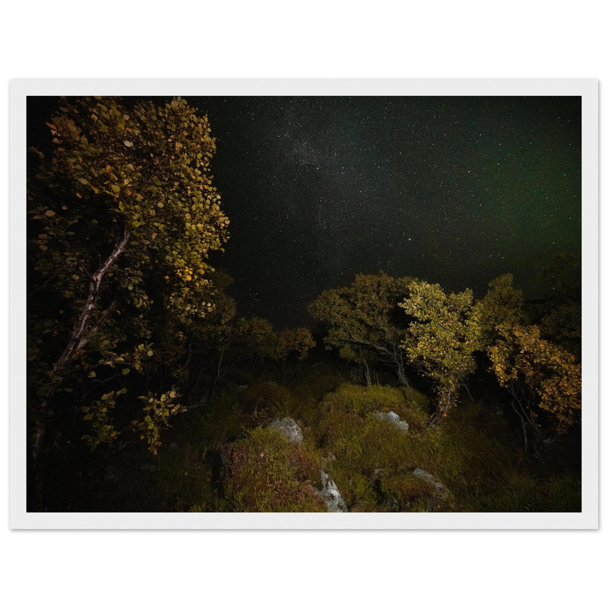 abfdc820-be22-4f07-889c-b497d11600e7