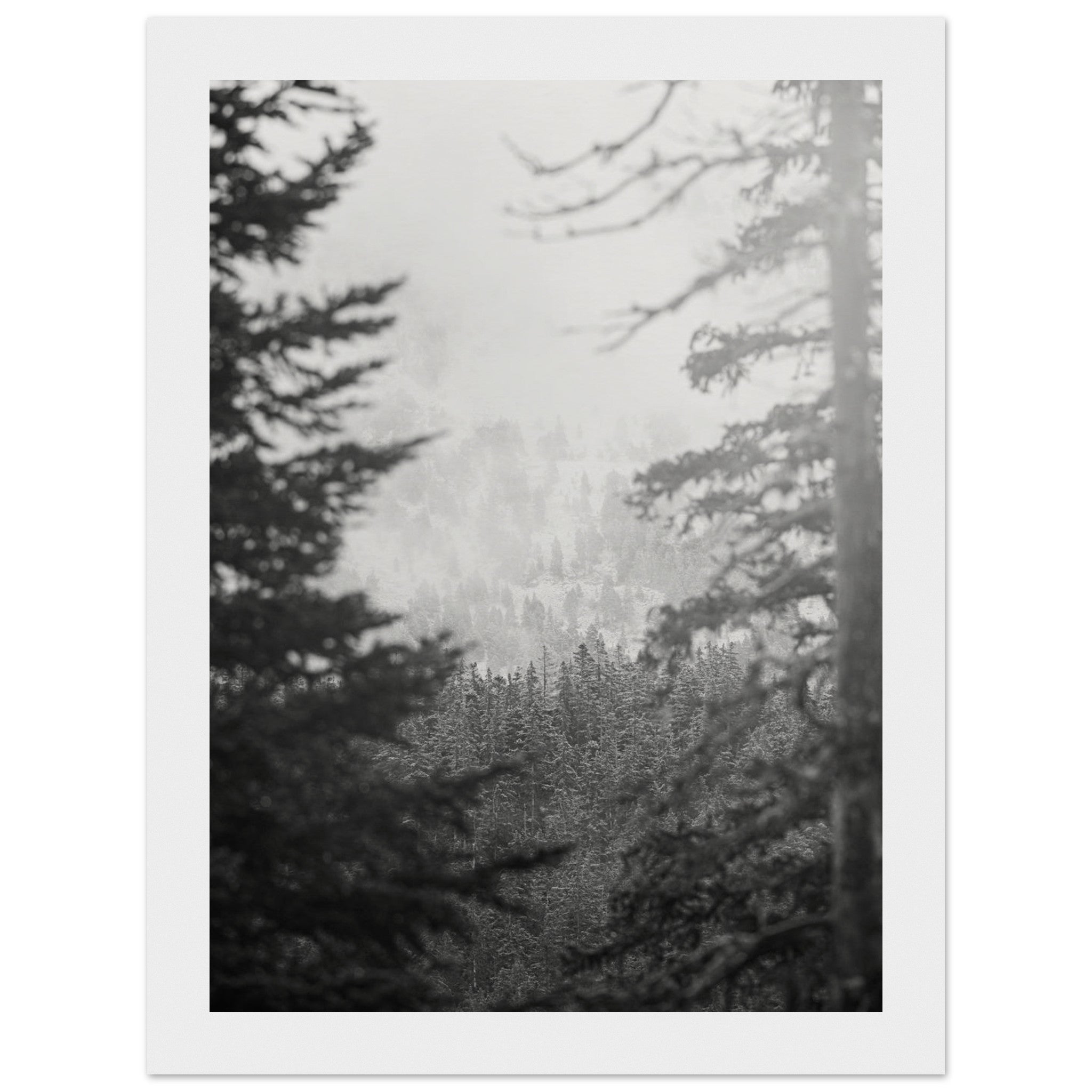 ac5d89fb-100a-486a-b49b-c997f5889996