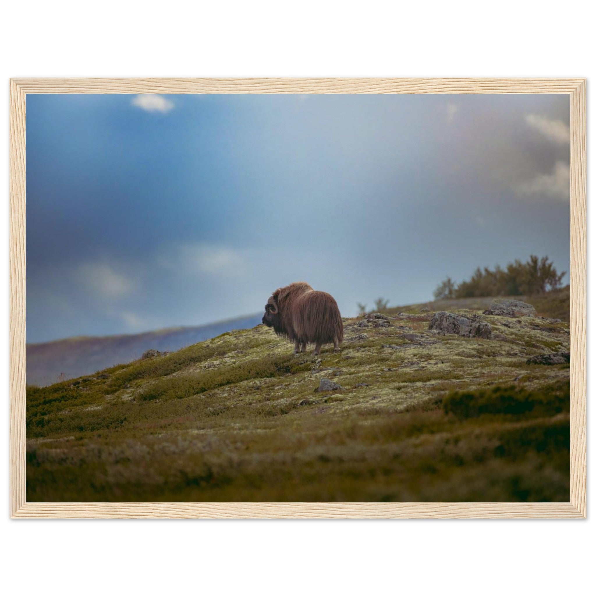 adc7354f-9578-424d-a63a-1c1dd4655ff7