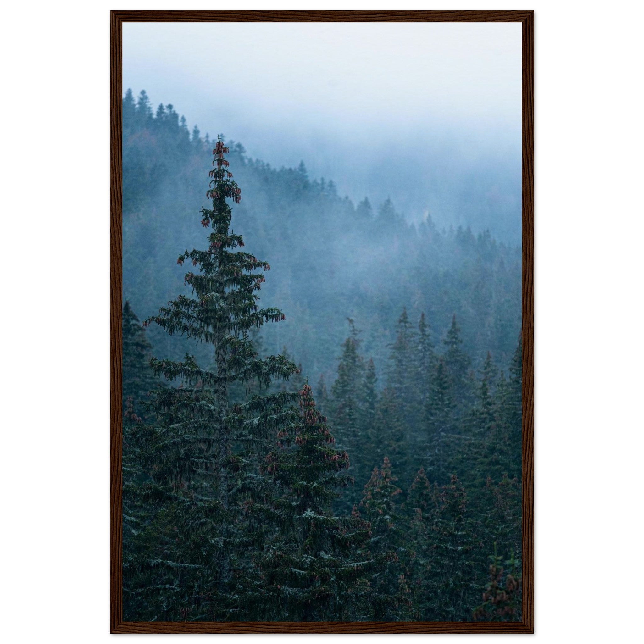 aefa44dd-fb91-41bd-a791-cbfe997cbdf1