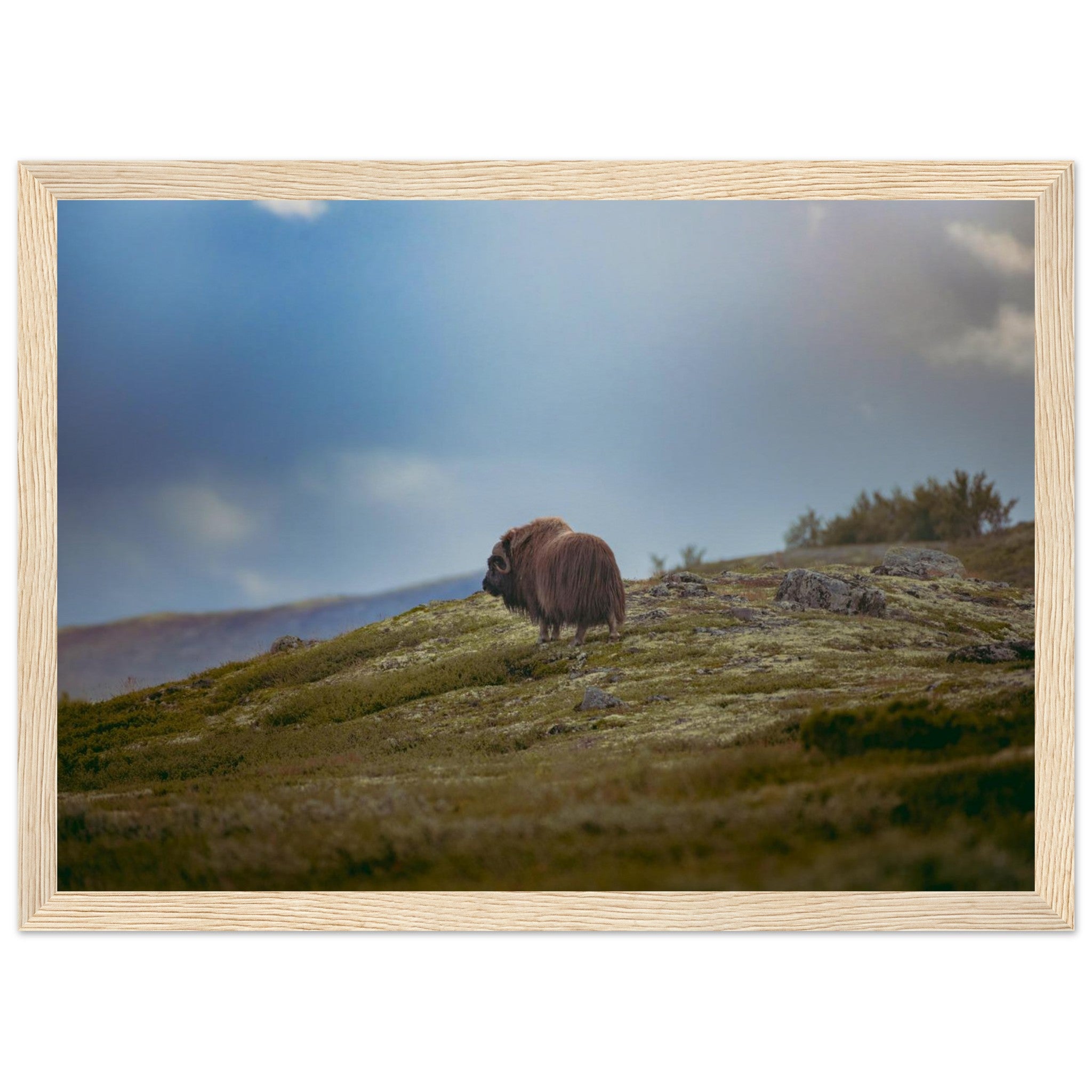 af22fdee-cddc-452c-800f-700366754aec