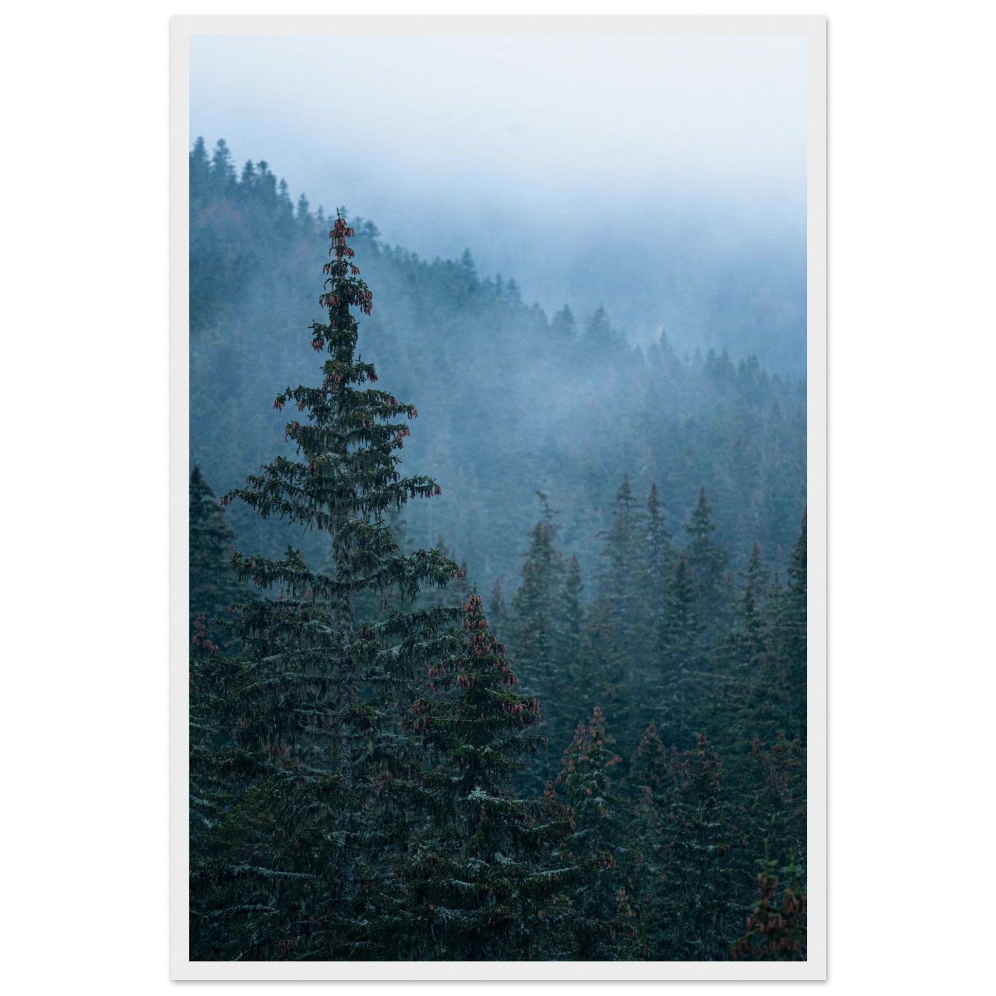 aff93f39-46a5-4893-8ded-16af2c361342