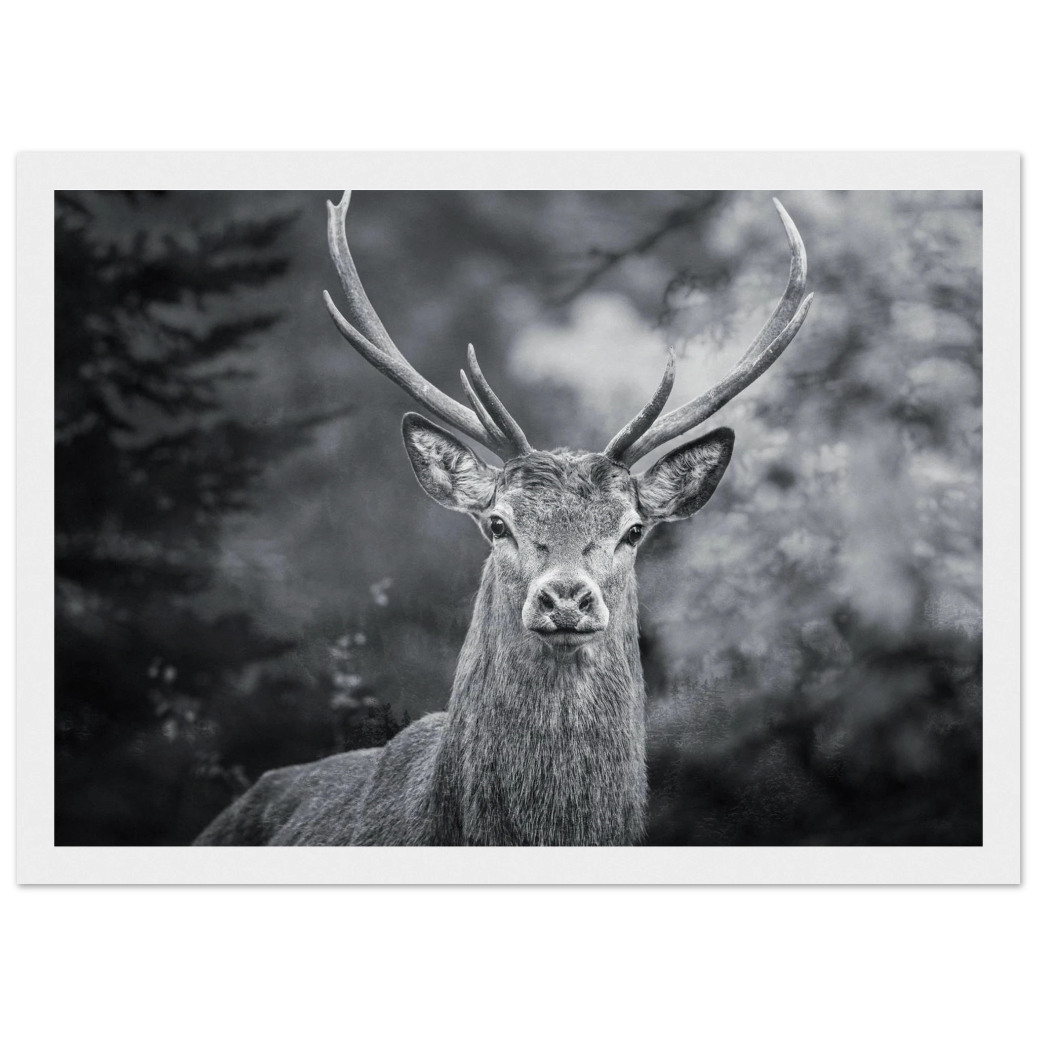 b0fac5f2-700c-4e66-a346-2b9506568ad0