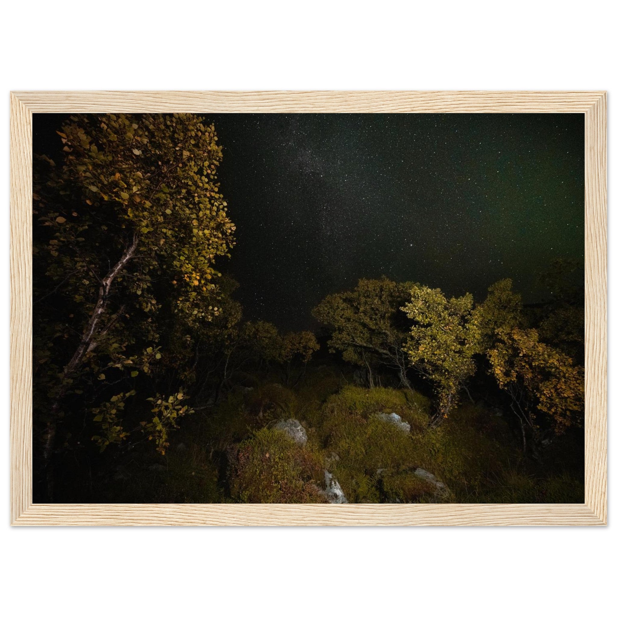 b16582ce-68f5-434c-a9a2-123d4493d498