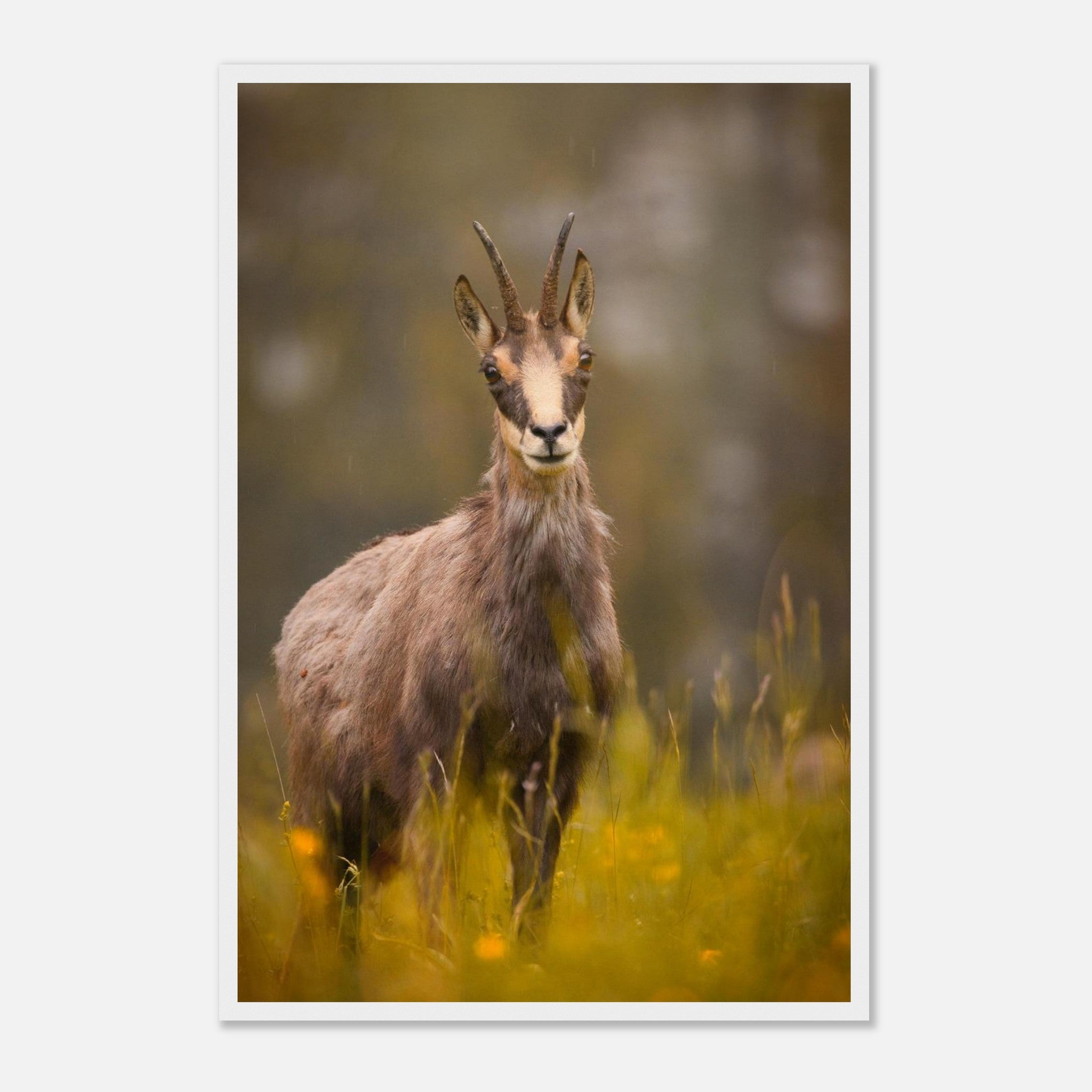 b6931a69-bf10-4a39-8431-8fbdf2342740