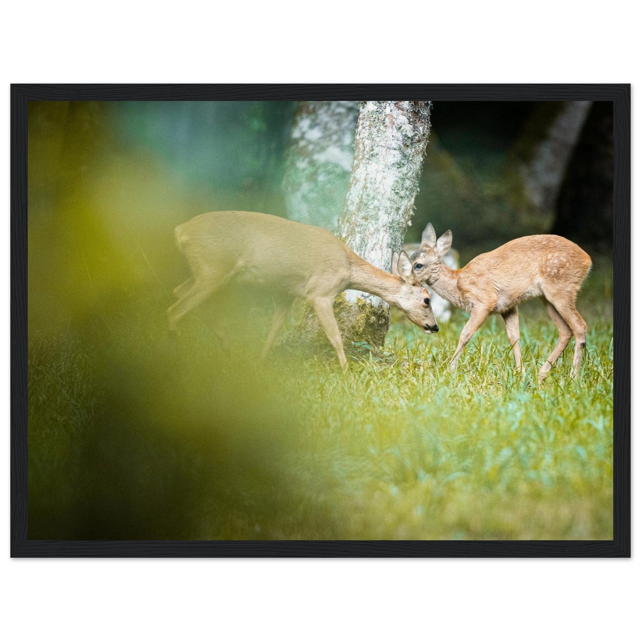 b731c071-76ea-4594-8fb5-c14d90f700c3