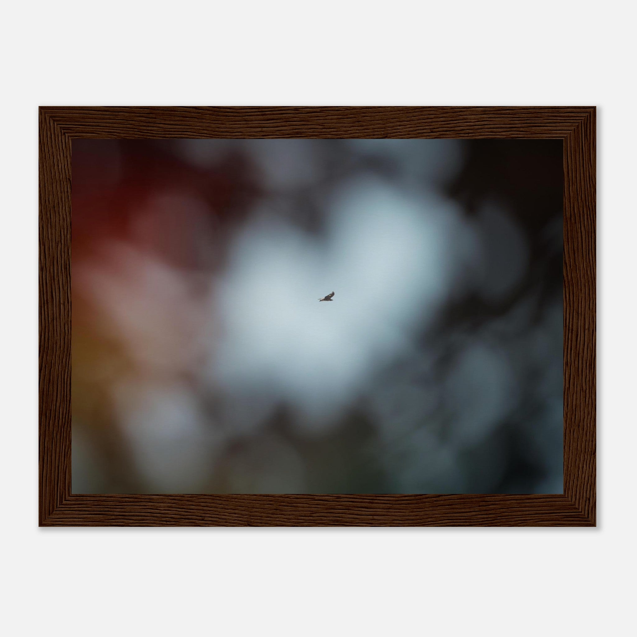 b8b69354-7d3e-4543-924c-119aa4711131